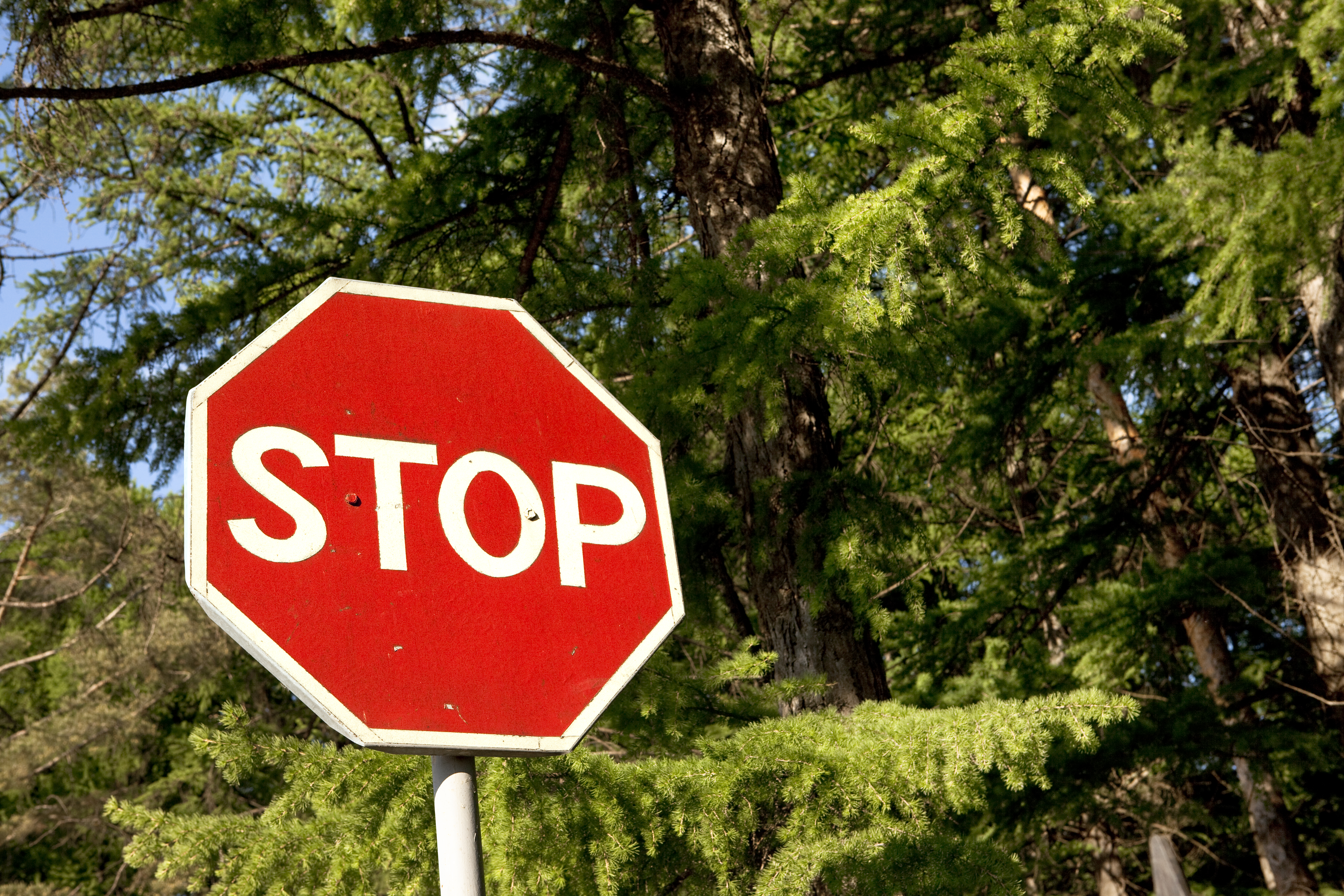 stop sign, Crossroad, Street, Sign, Signage, HQ Photo
