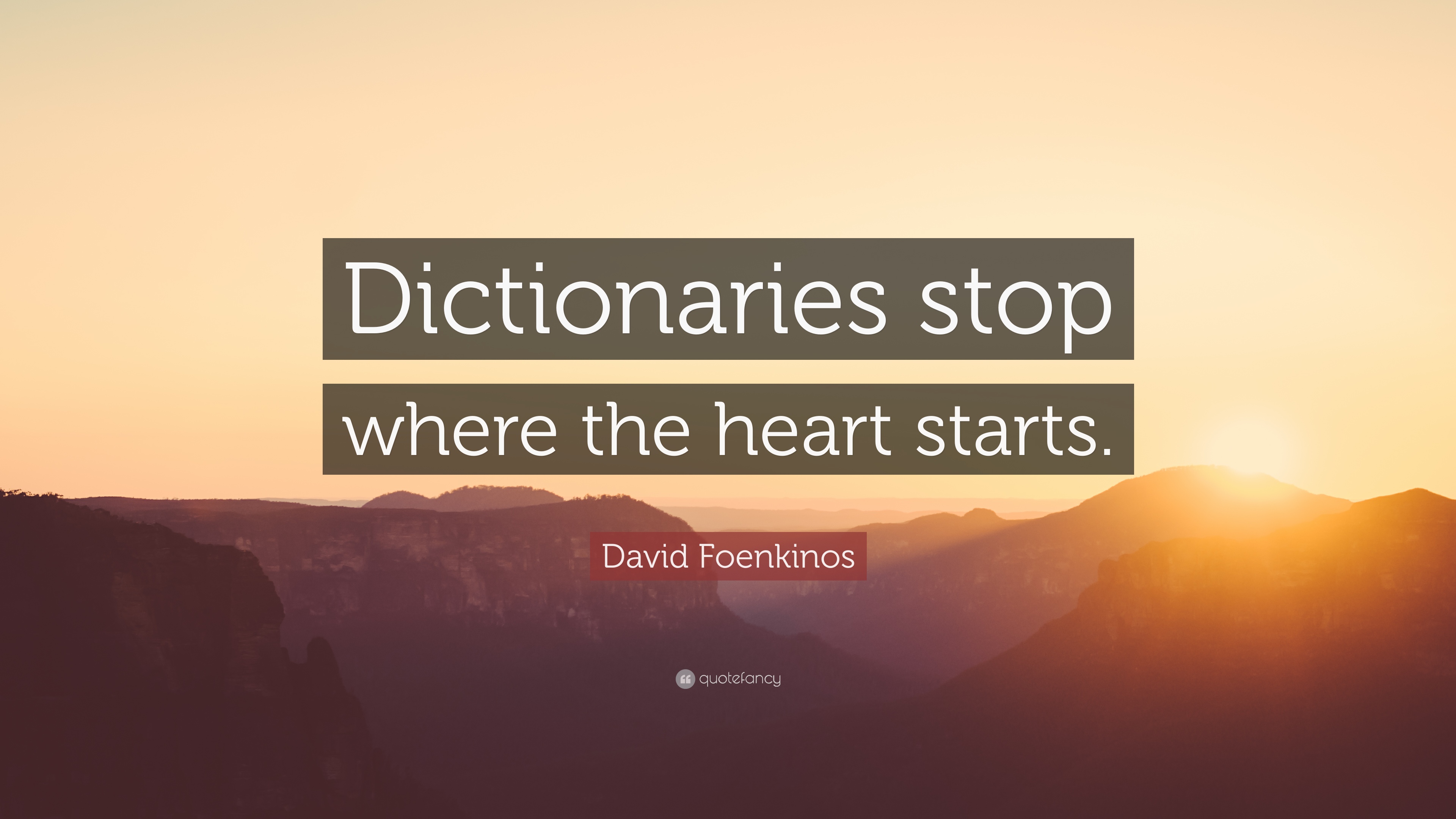 David Foenkinos Quote: “Dictionaries stop where the heart starts ...