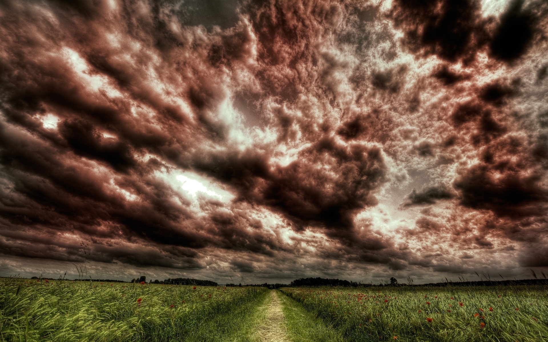 Poppy Field Path Stormy Clouds wallpapers | Poppy Field Path Stormy ...