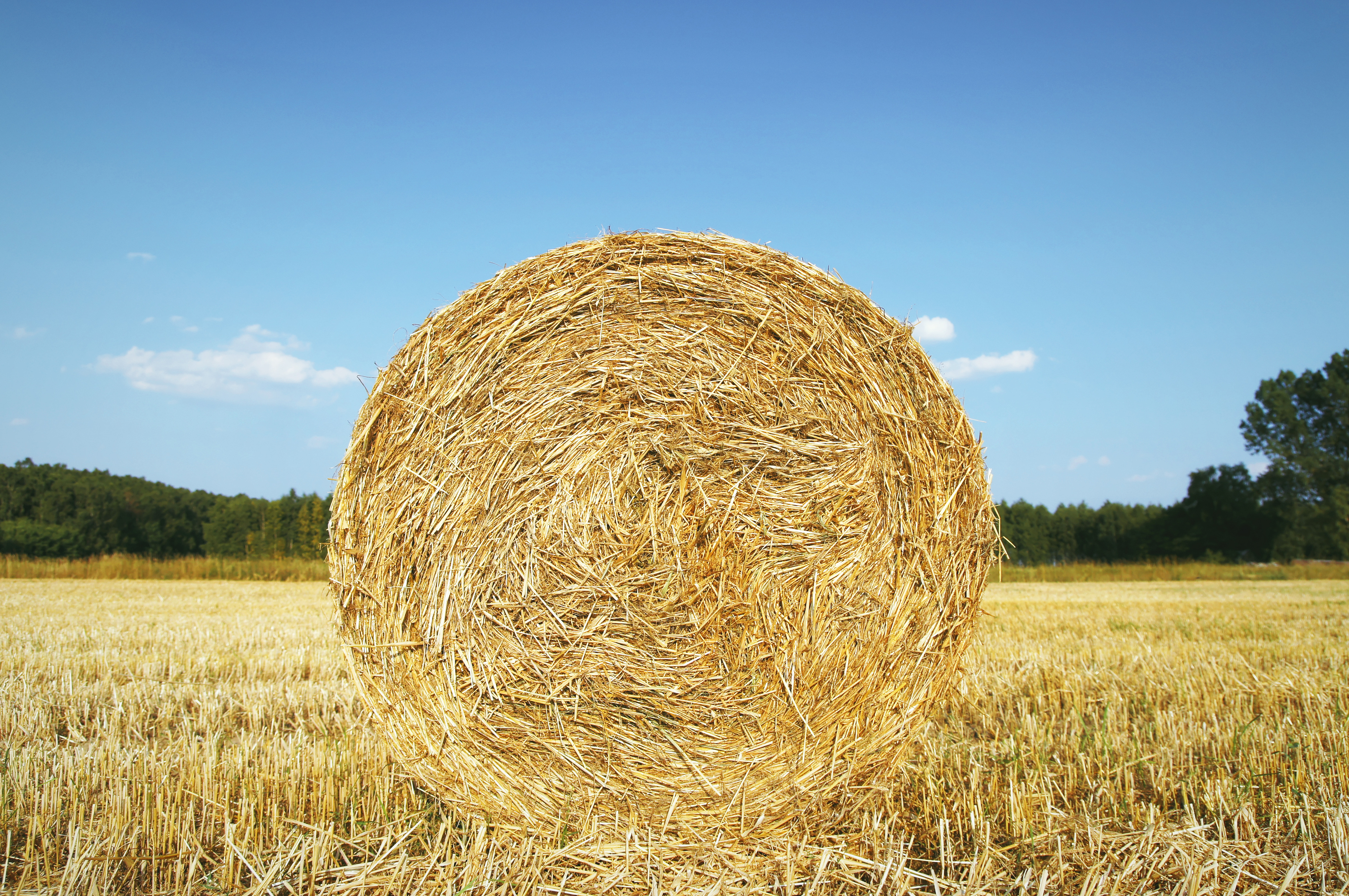 Straw bales on field - Our Great Photos