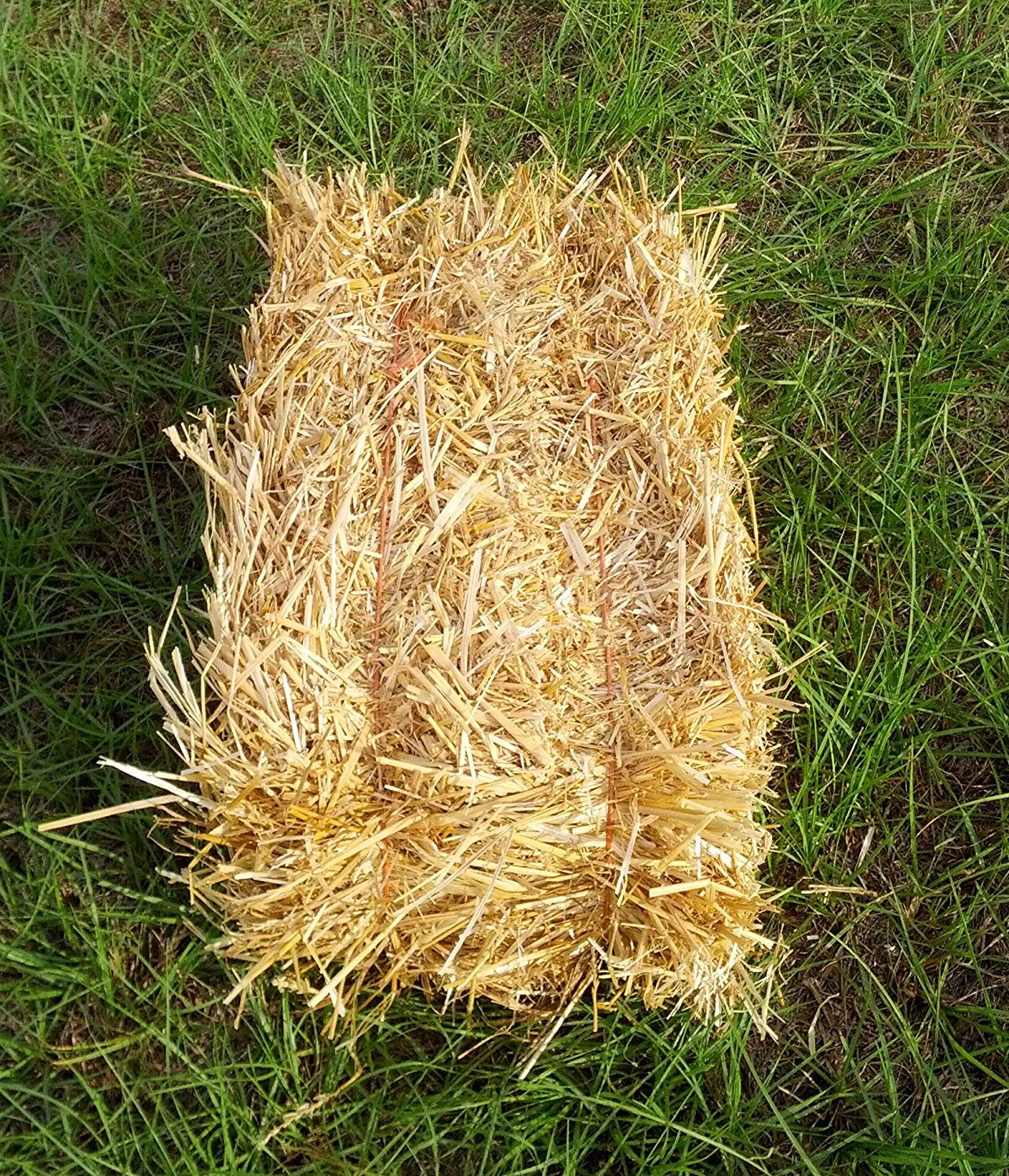 Amazon.com : Wheat Straw Bale Spring/Summer/Fall Theme Decoration ...