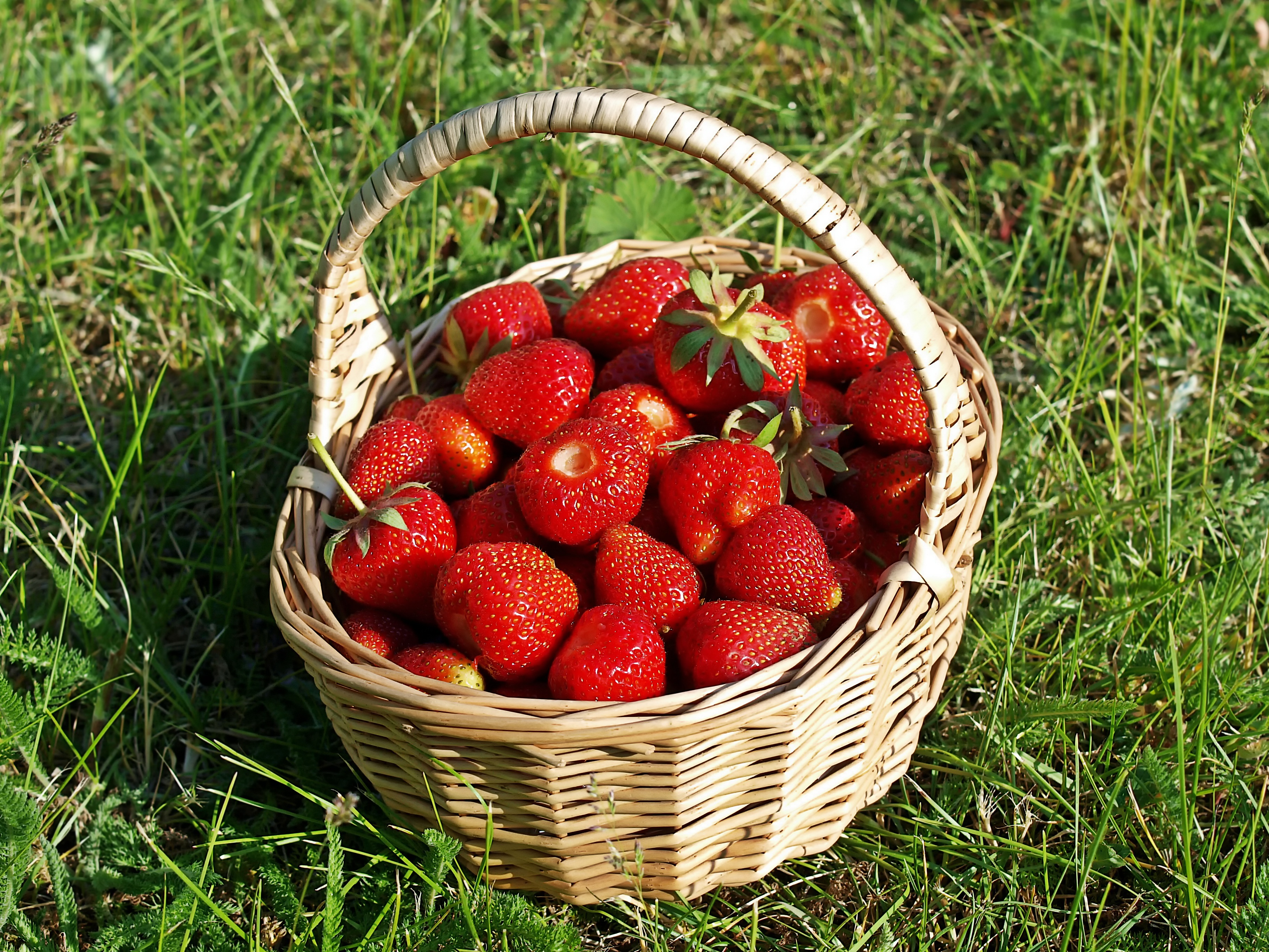 Strawberries in a basket photo