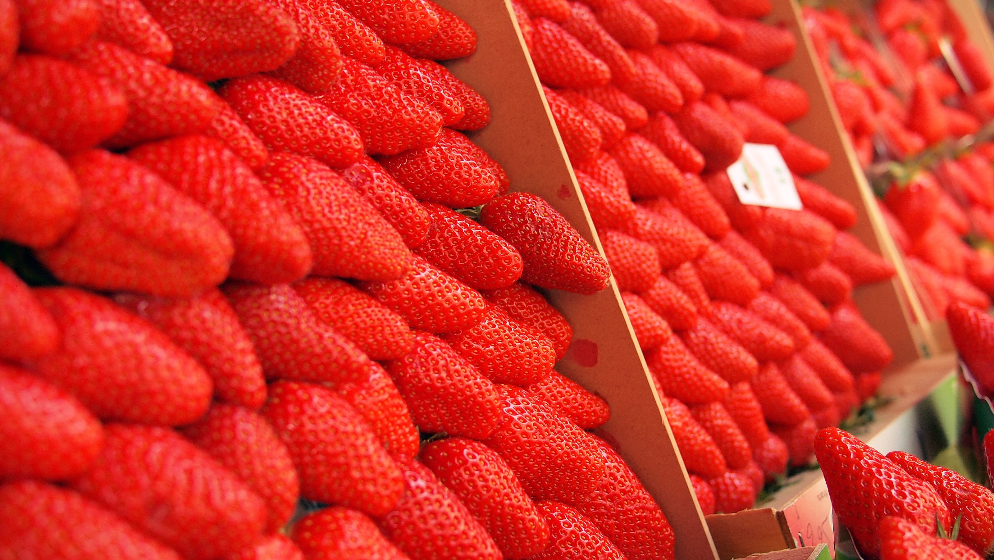 Strawberry fruit photo