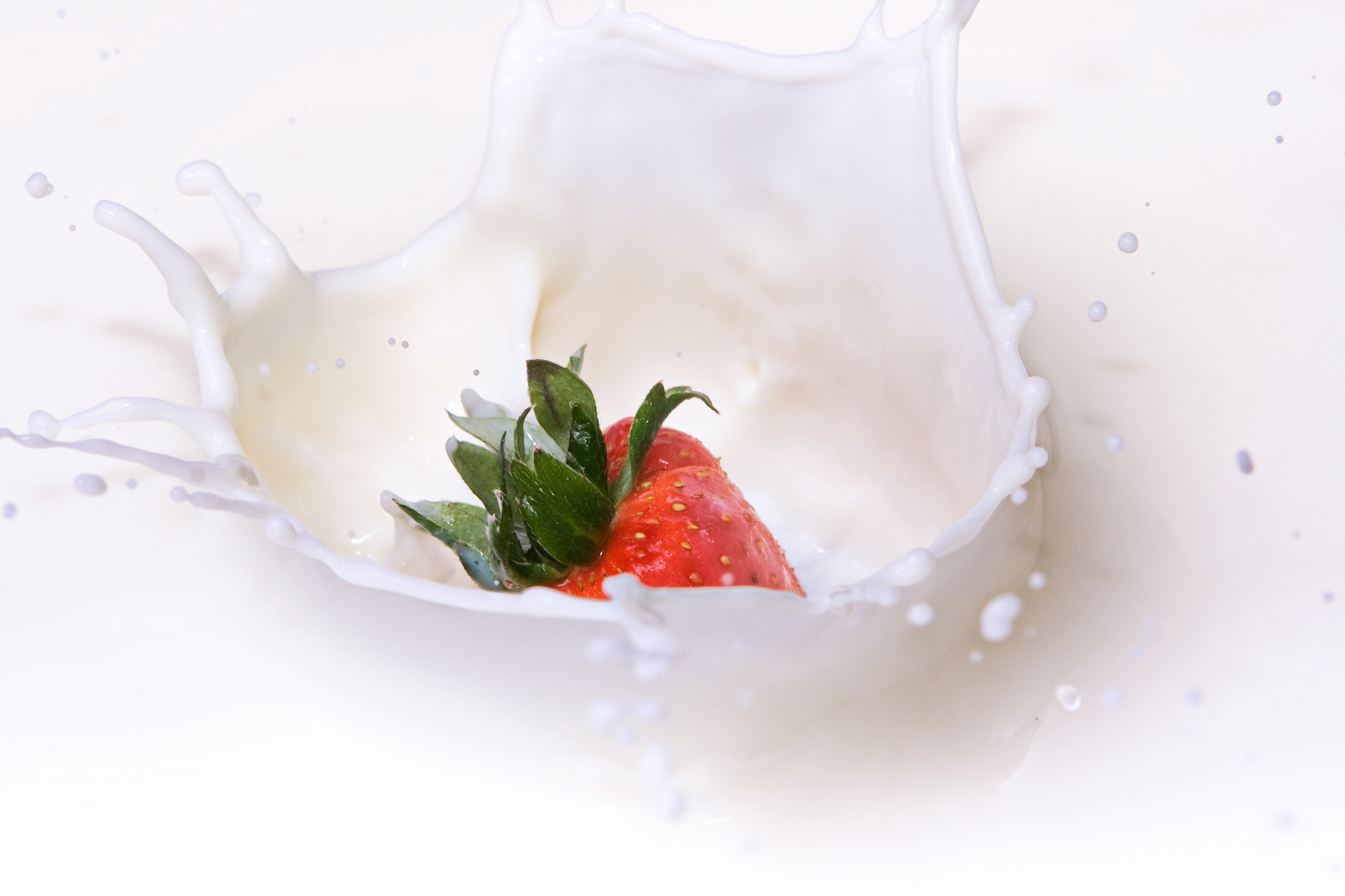 Strawberry in Cream, Abstract, Snack, Natural, Nature, HQ Photo