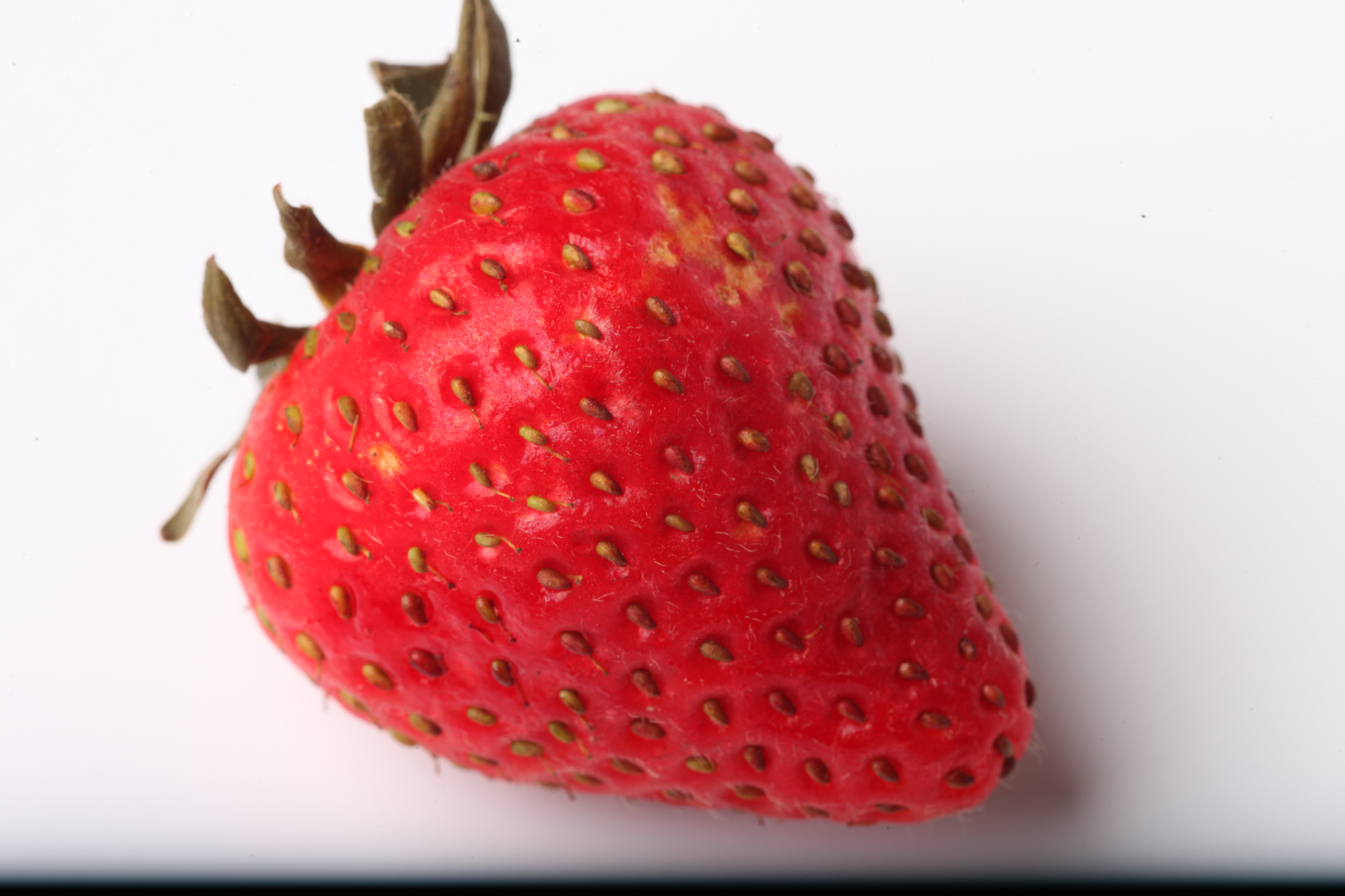 Strawberry isolated on white background photo