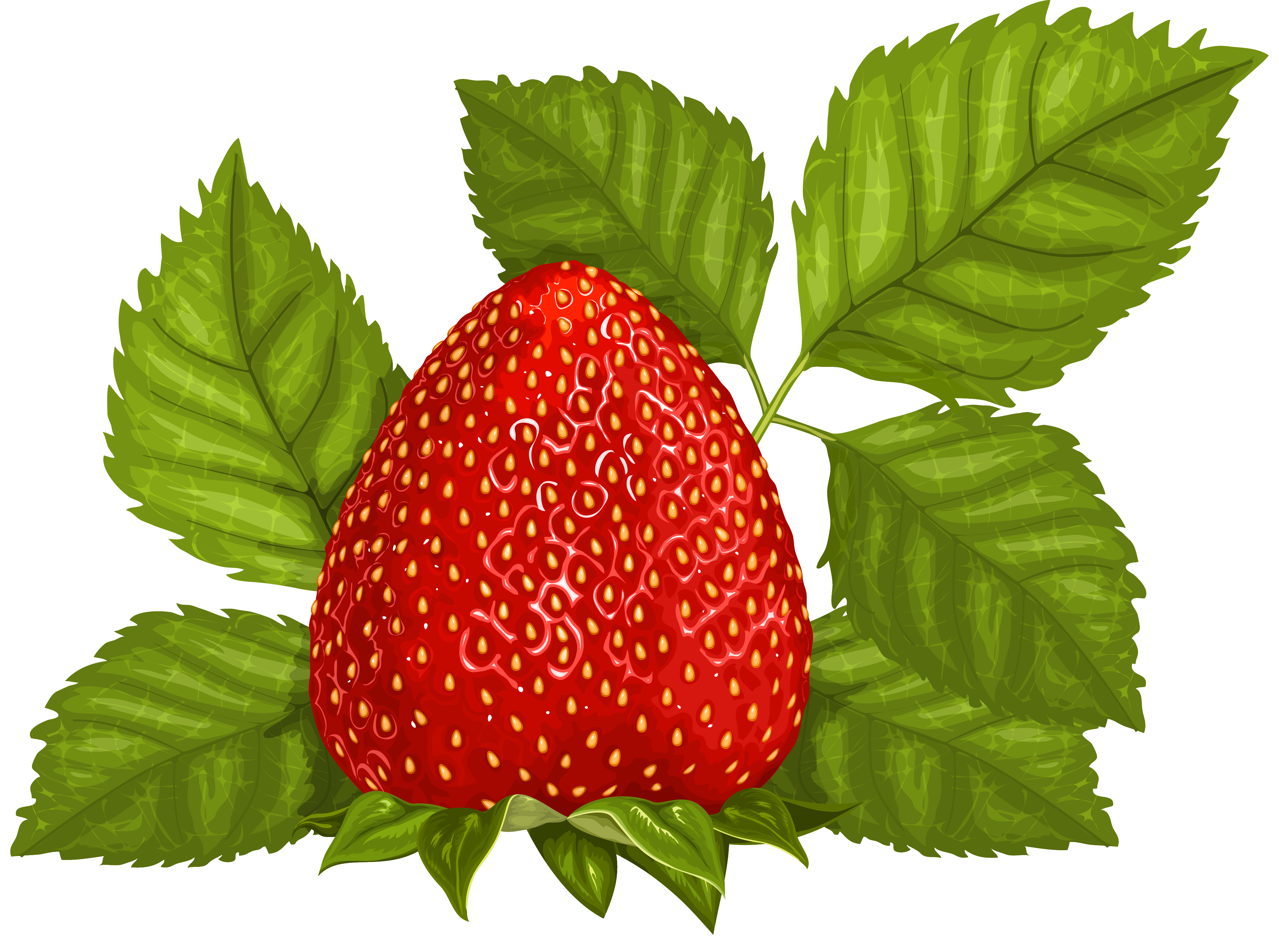 Strawberry with Leaves PNG Clipart Picture | Gallery Yopriceville ...