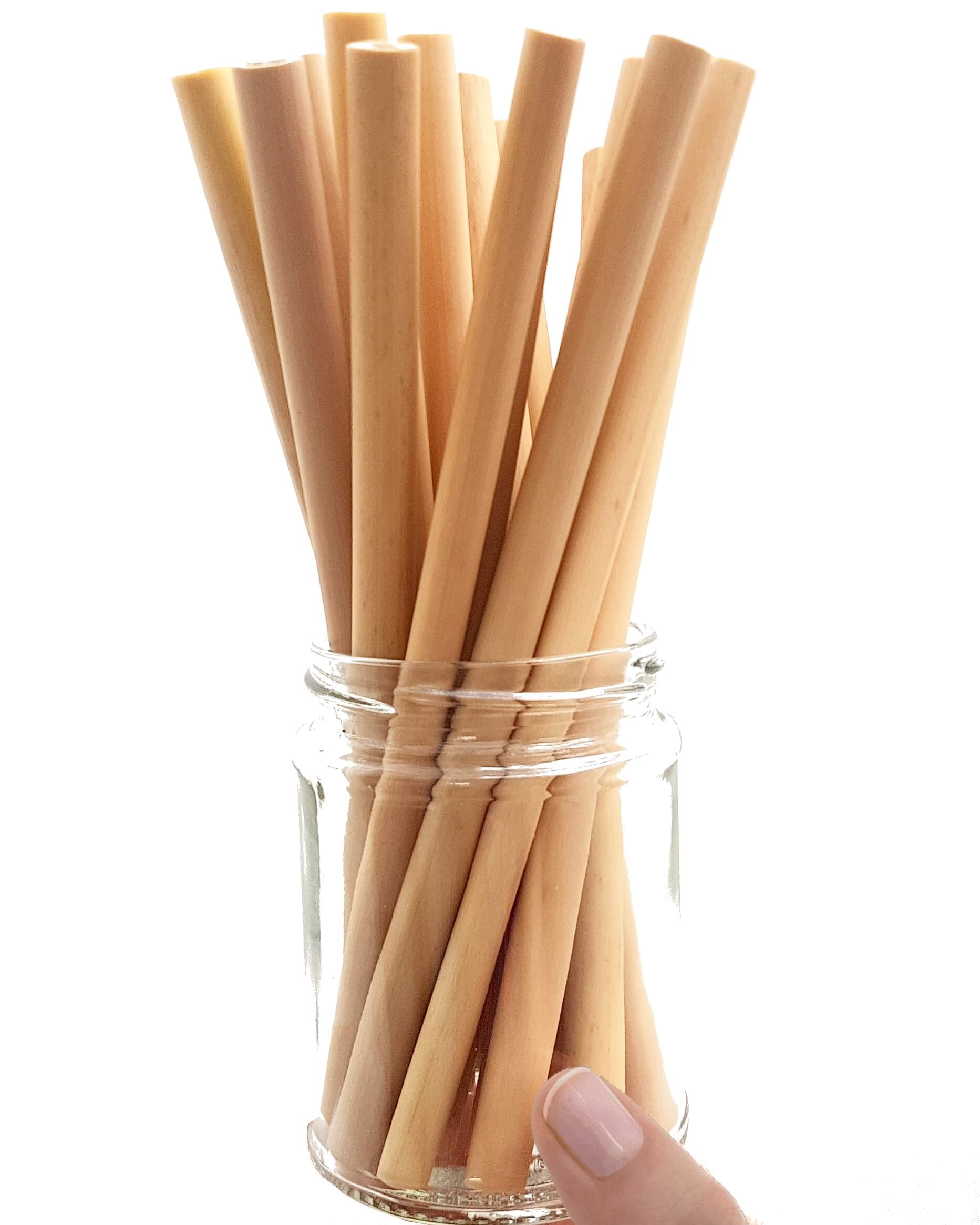 Reusable Organic Bamboo Straw - Bluechai Shop