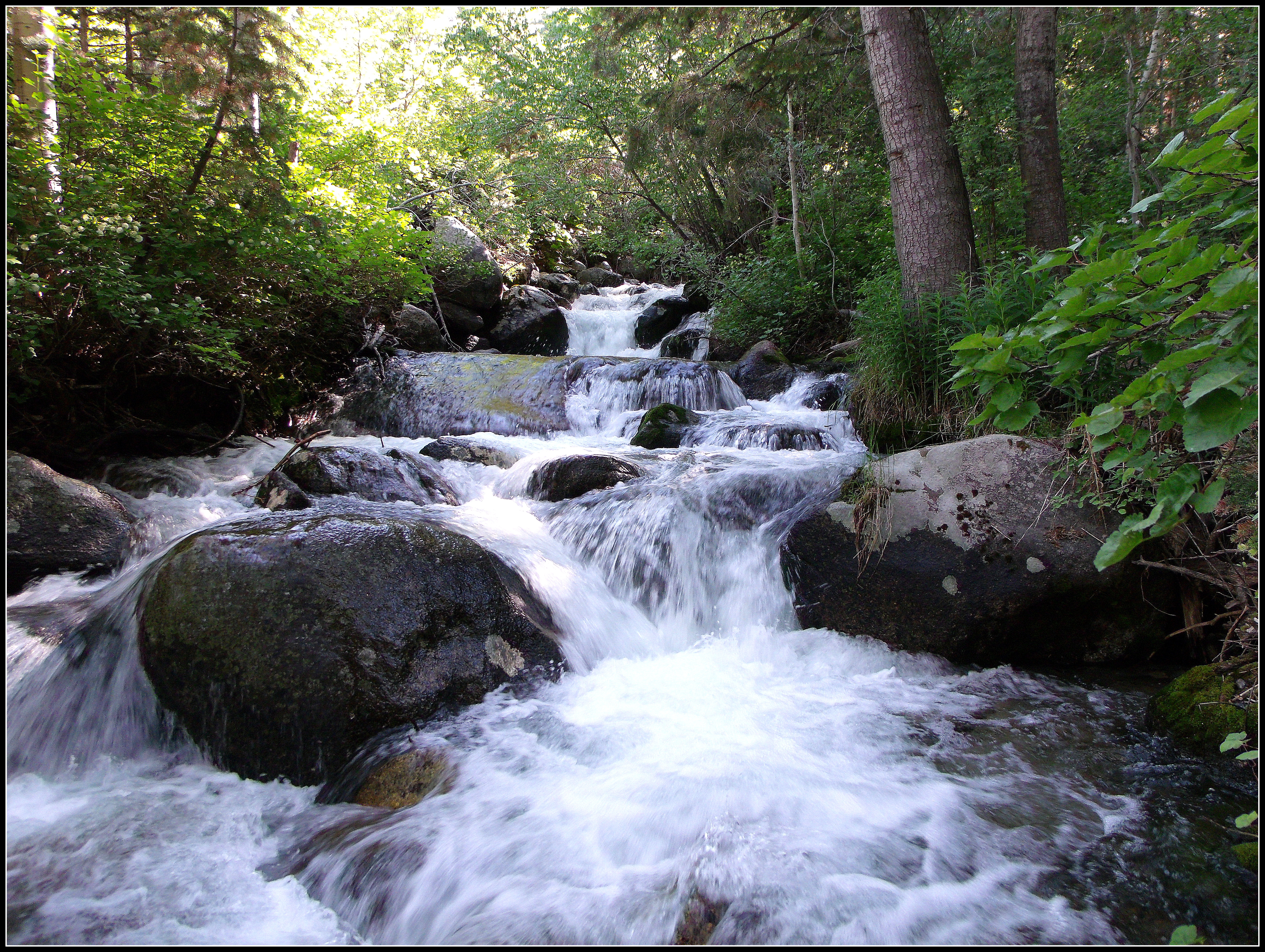 Bells Canyon Stream | Scott's Place...Images and Words