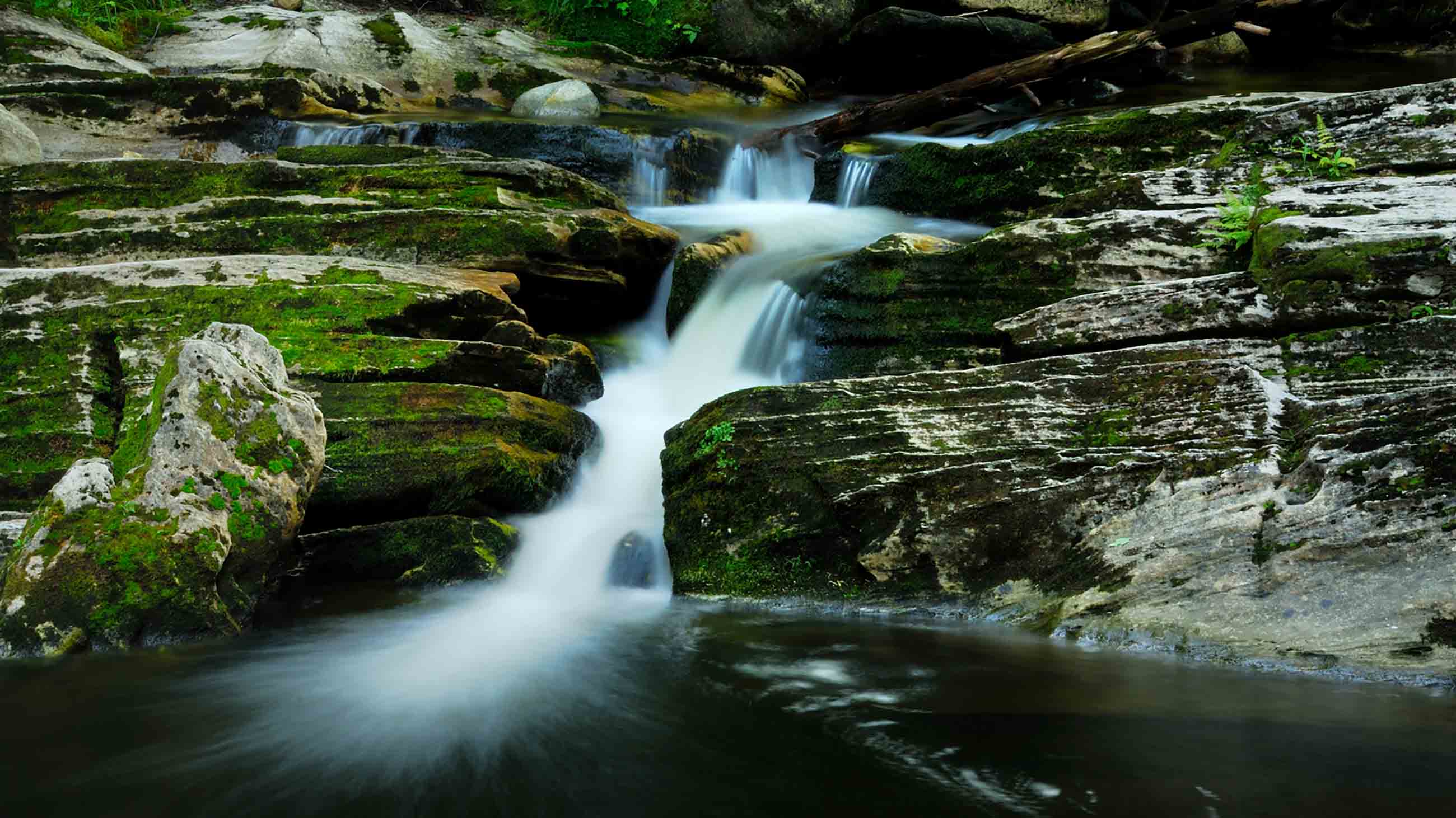 Against the Stream: The Battle Over the Future of the Clean Water Rule