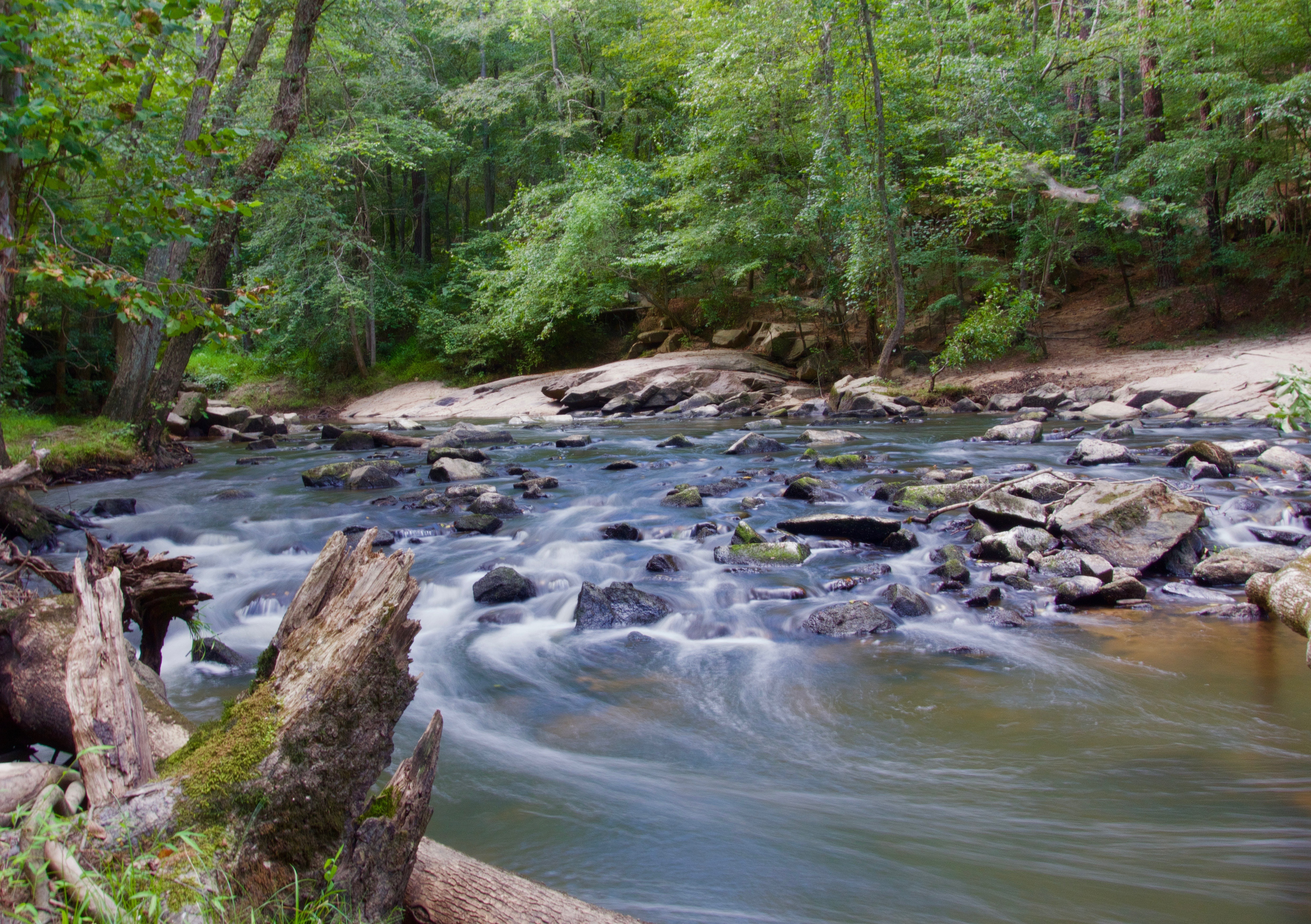 Stream in a forest with grey rocks photo