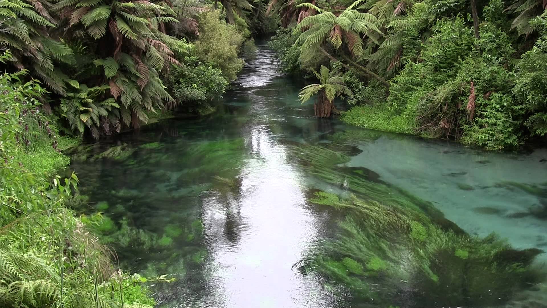 Amazing River - Stream Footage - YouTube