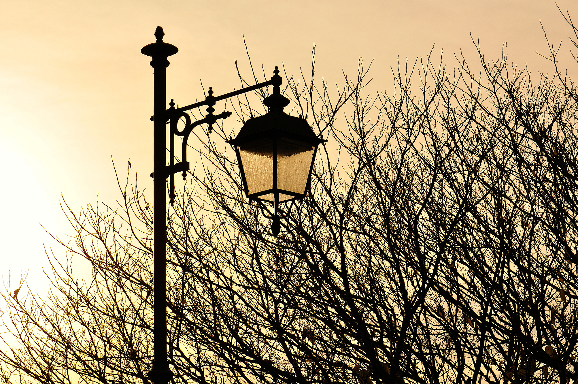 Street lamp at sunset photo