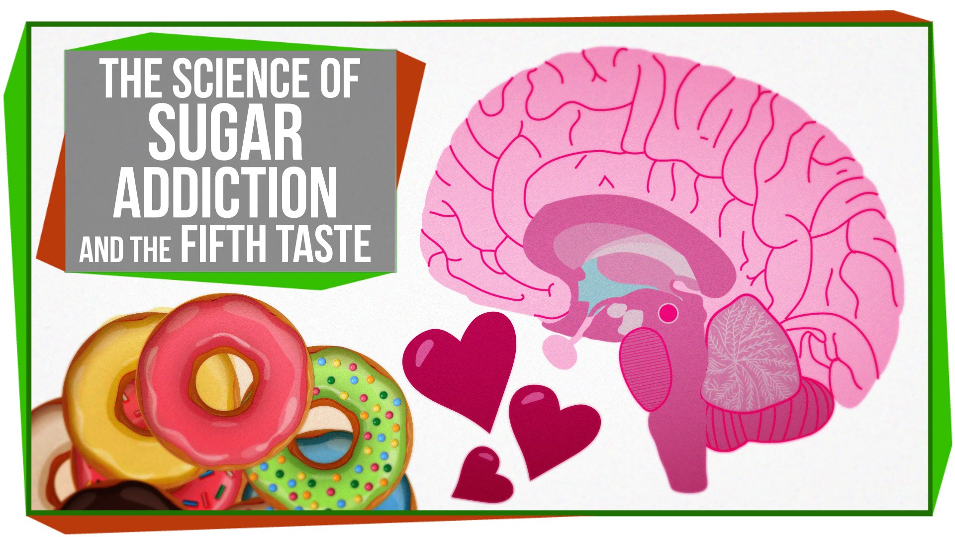 The Science of Sugar Addiction & The Fifth Taste - YouTube
