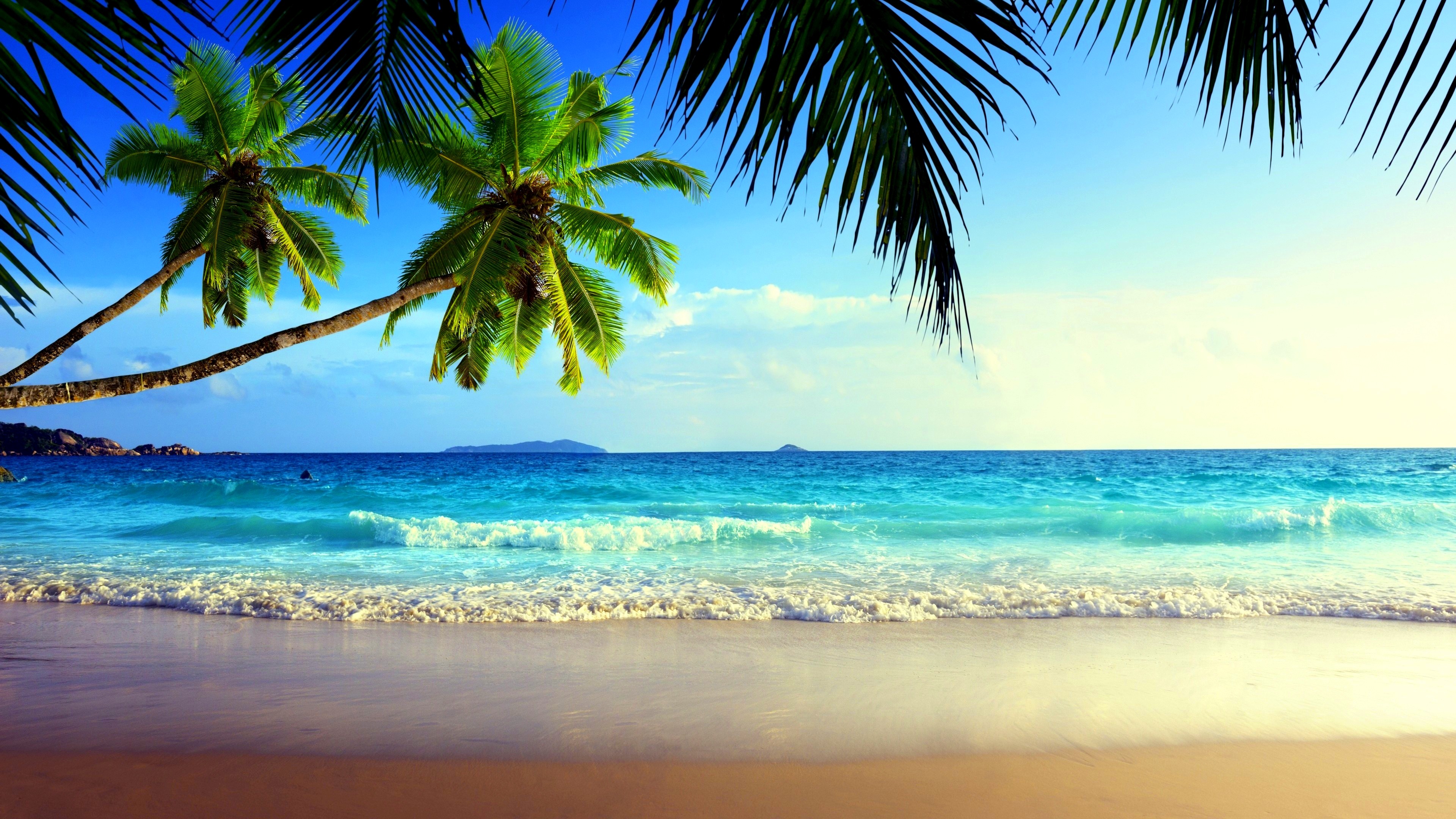 Beaches: Beach Palms Sea Nature Summer Beauty Wallpaper Palm Gardens ...