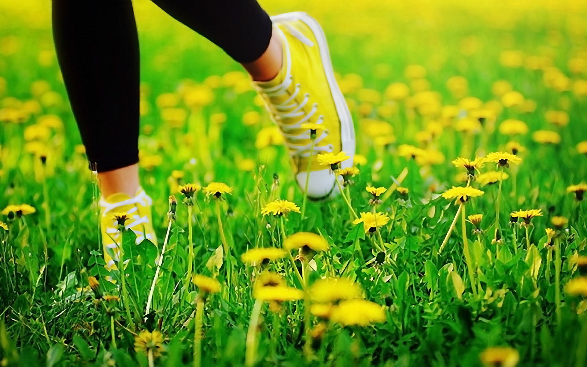 summer grass dandelions feet shoes HD wallpaper