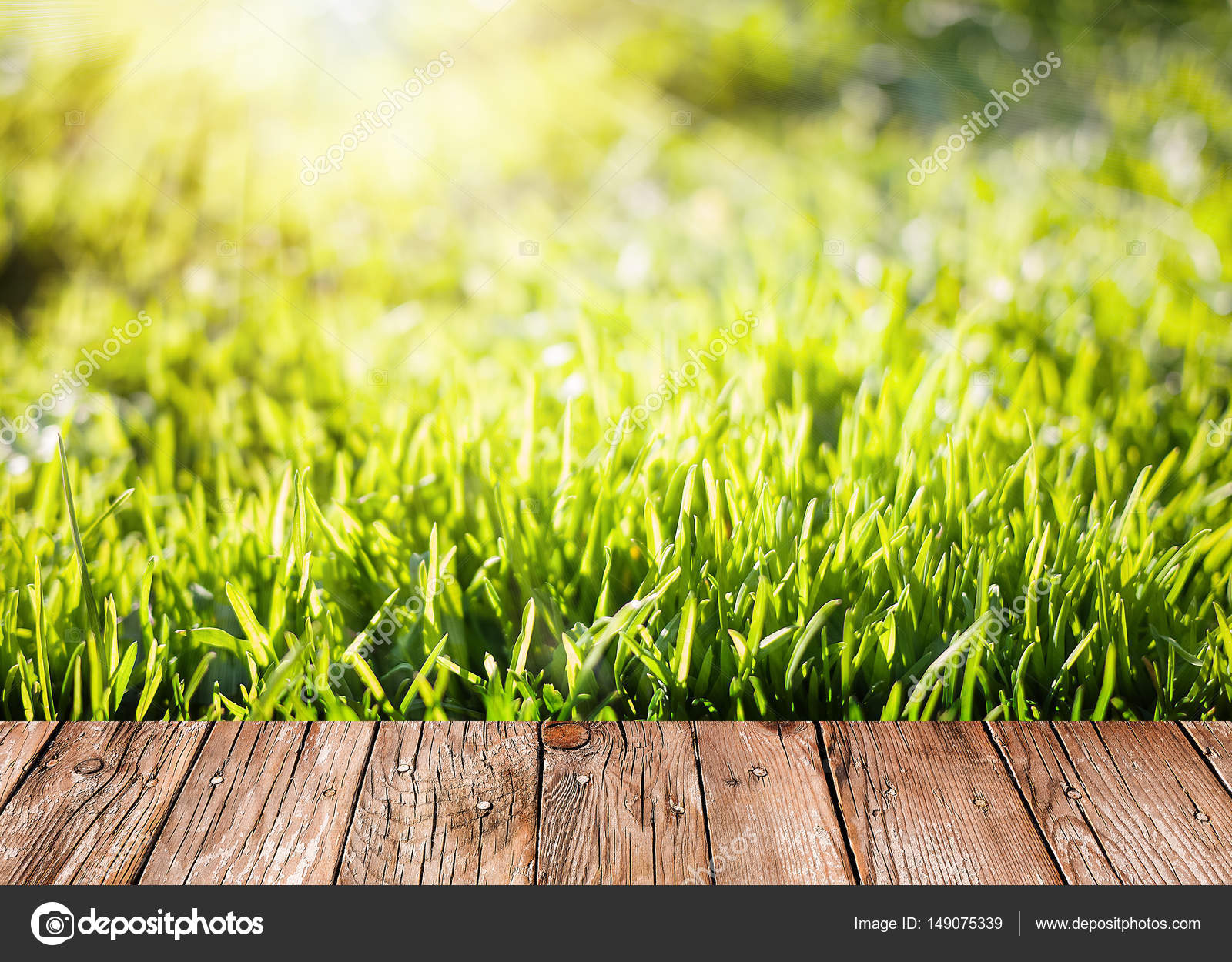 Summer garden background with green grass and wooden planks — Stock ...