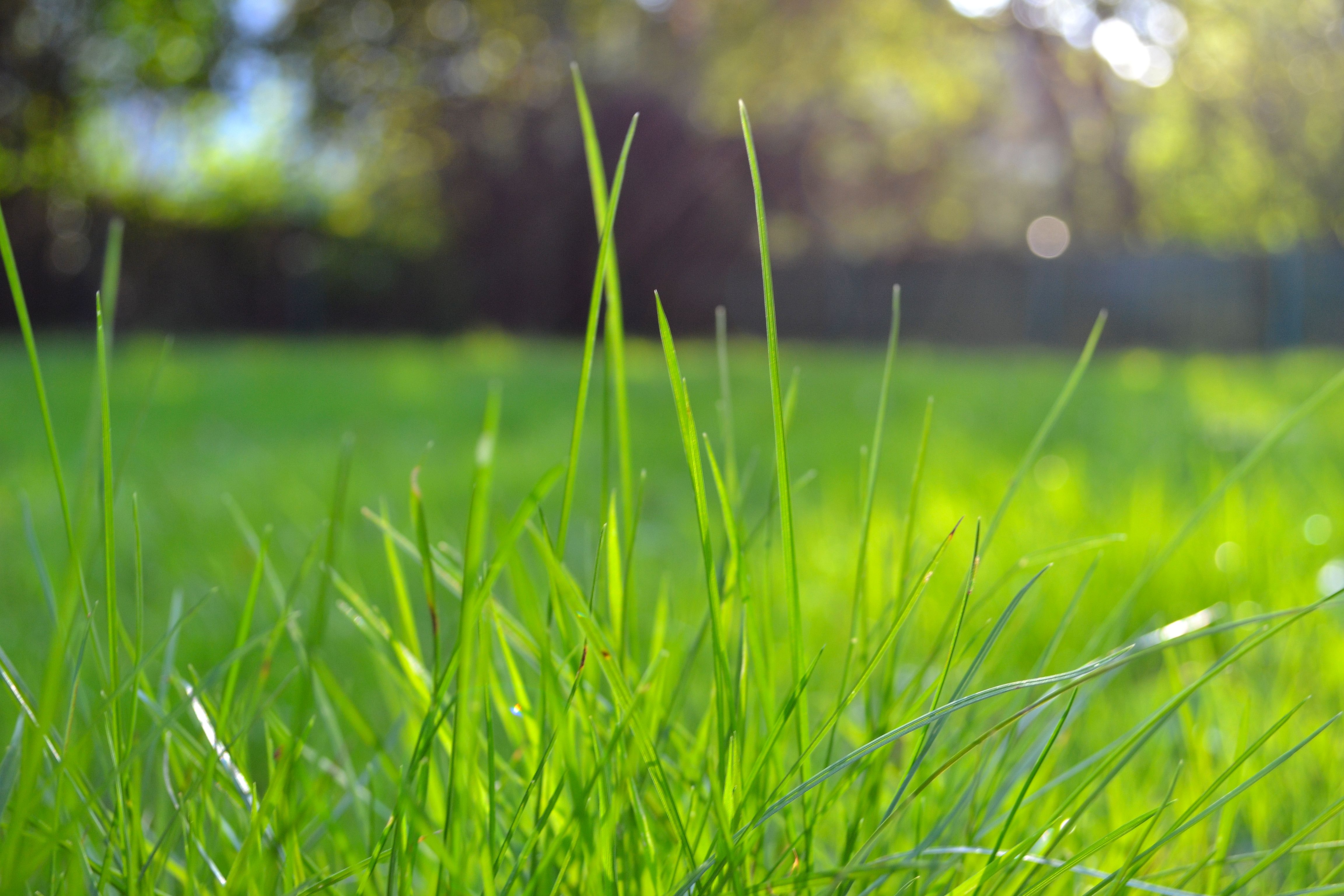 Improve your Home Value with Quality Landscaping and Lawn Care