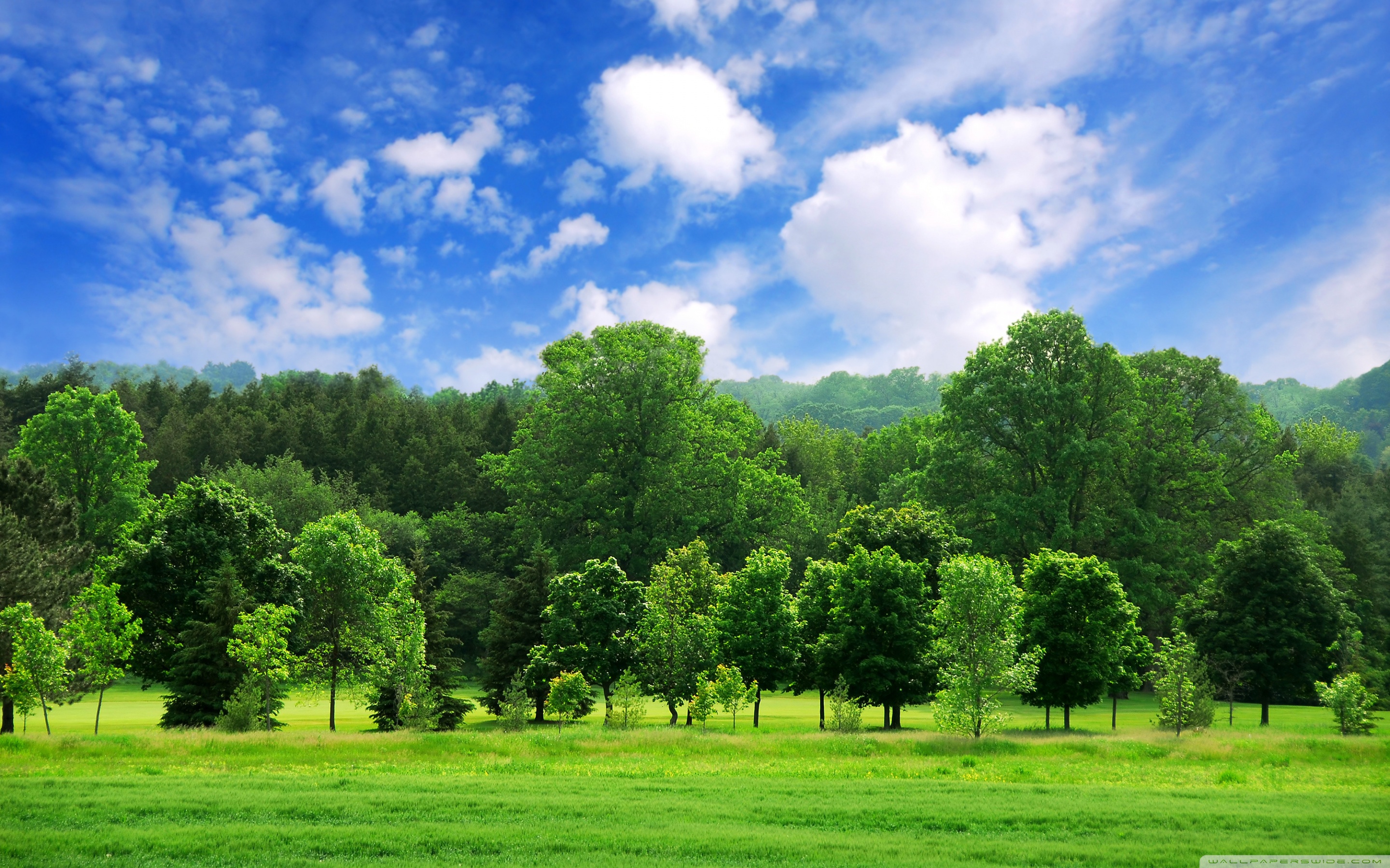 Beautiful Summer Landscape ❤ 4K HD Desktop Wallpaper for 4K Ultra ...