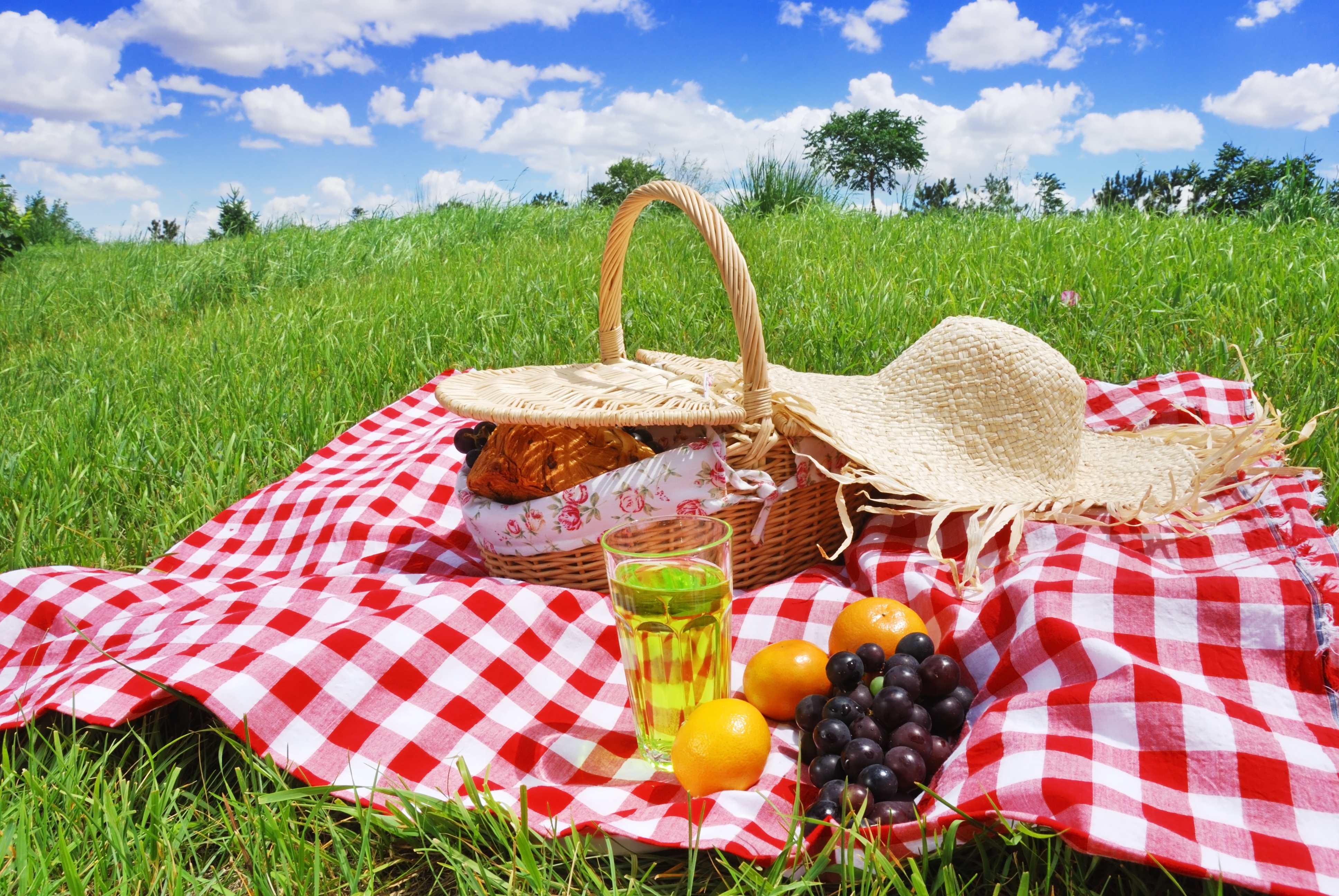 The Perfect Spring Picnic – Flex Physical Therapy