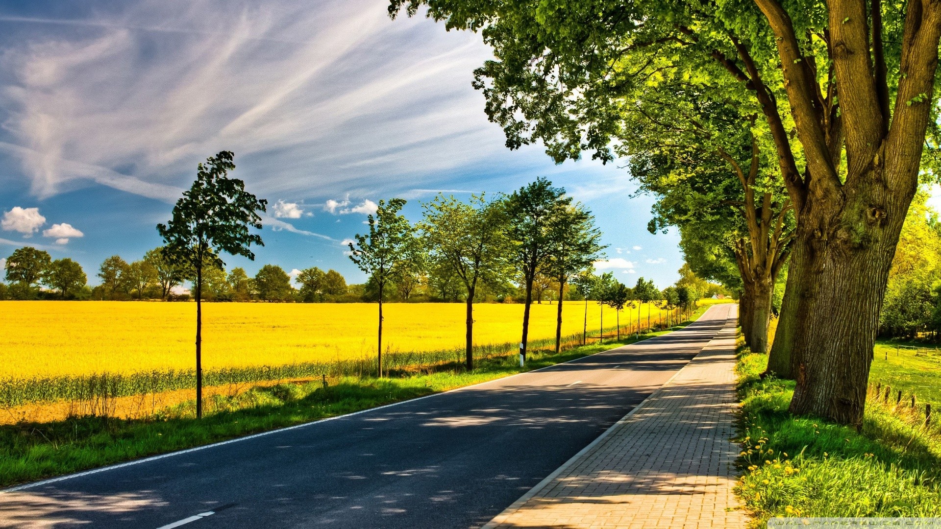 Summer Road View Scene Fun Landscape Pics Of Nature Hd Wallpapers ...