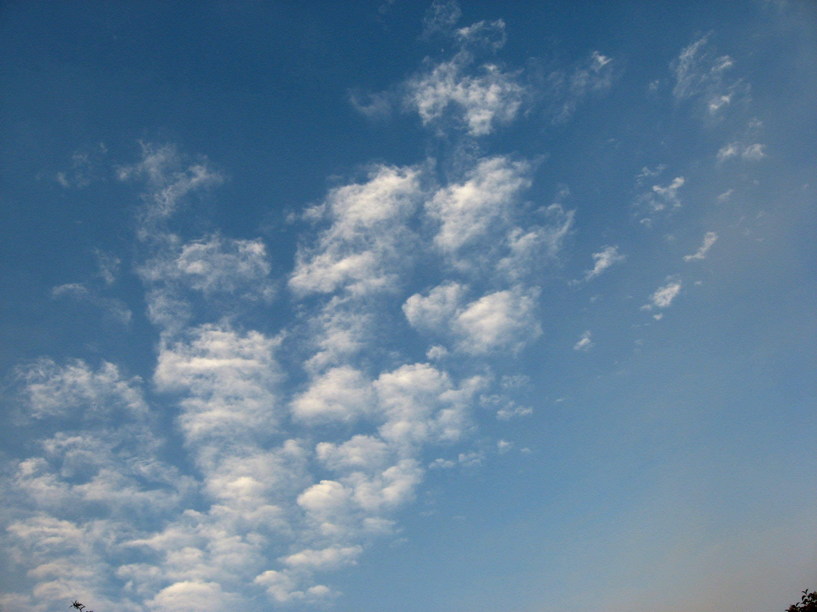 Summer sky with fluffy clouds photo