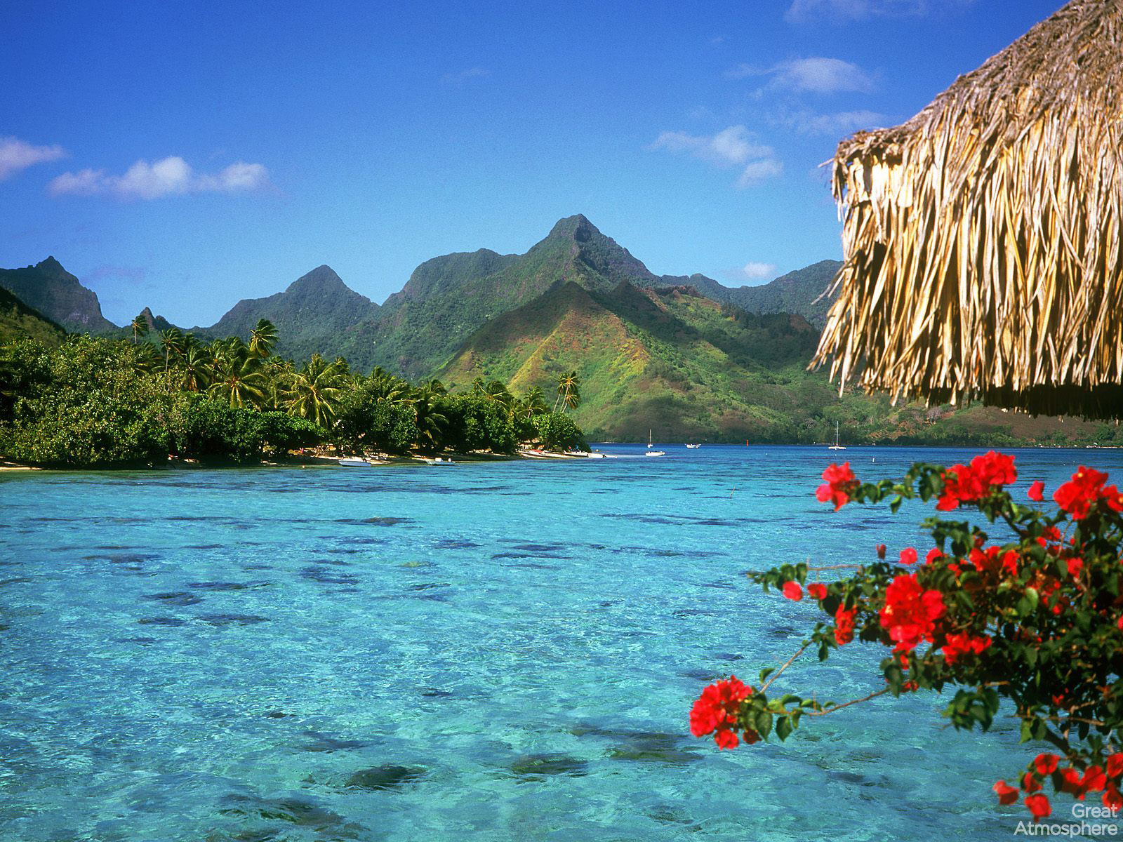 Amazing, Summer, View, Bora Bora | Great Atmosphere.