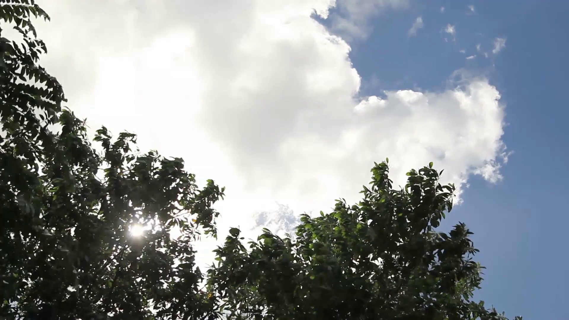 Sun and trees and sky Stock Video Footage - VideoBlocks