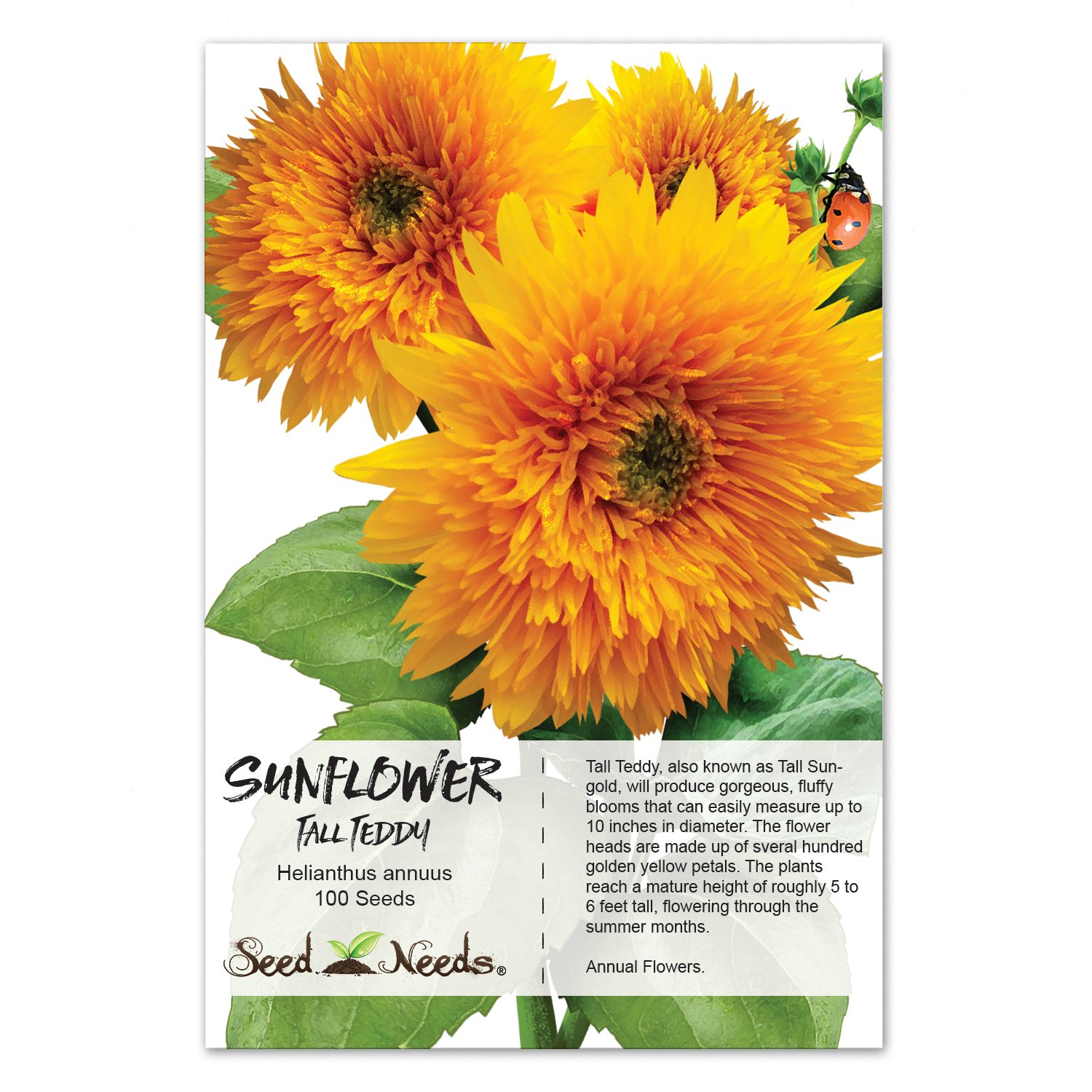 Tall Sungold Sunflower Seeds (Helianthus annuus)