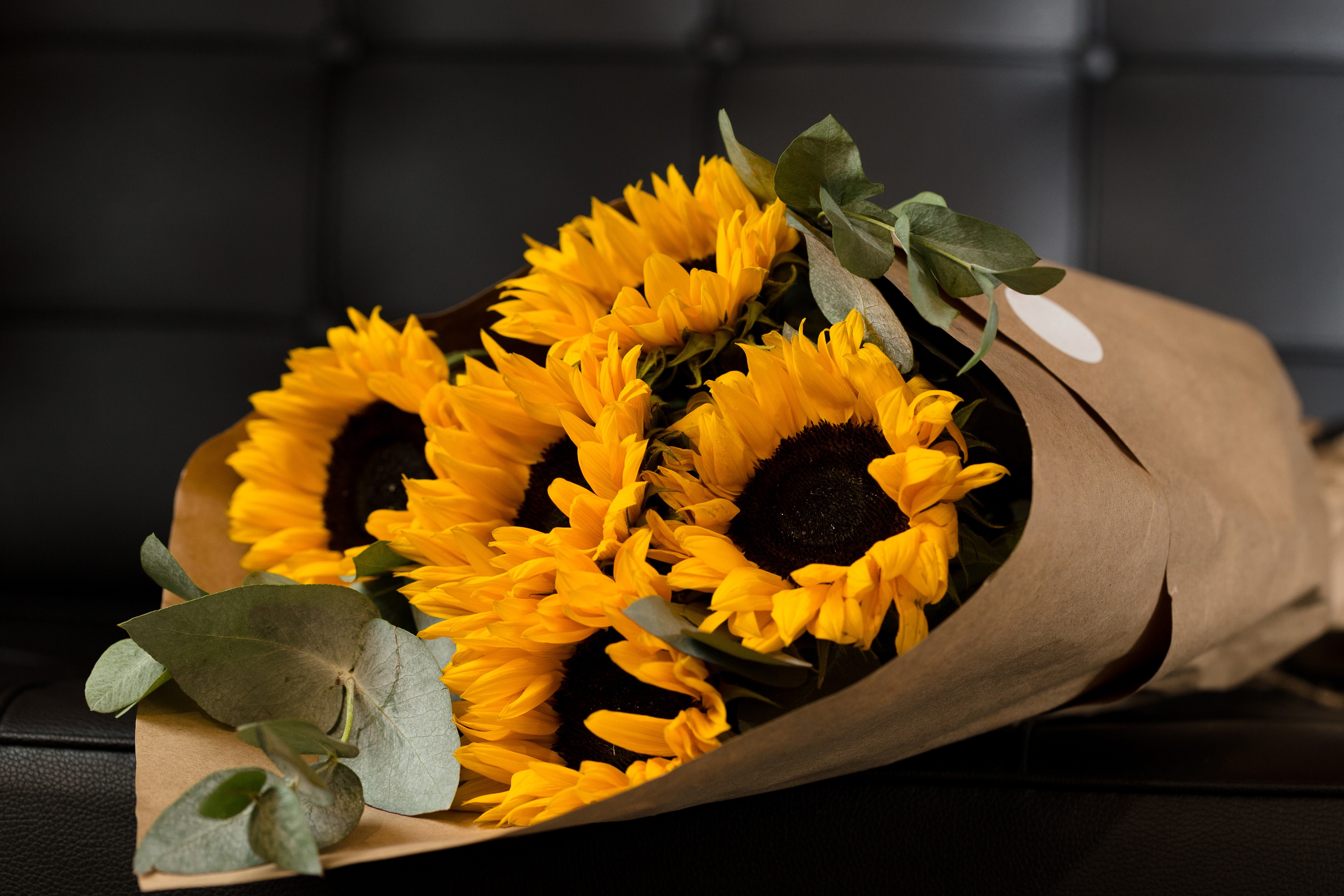Sunflower Bouquet in Rocky Hill, CT | TK & Brown's Flowers | Terri ...