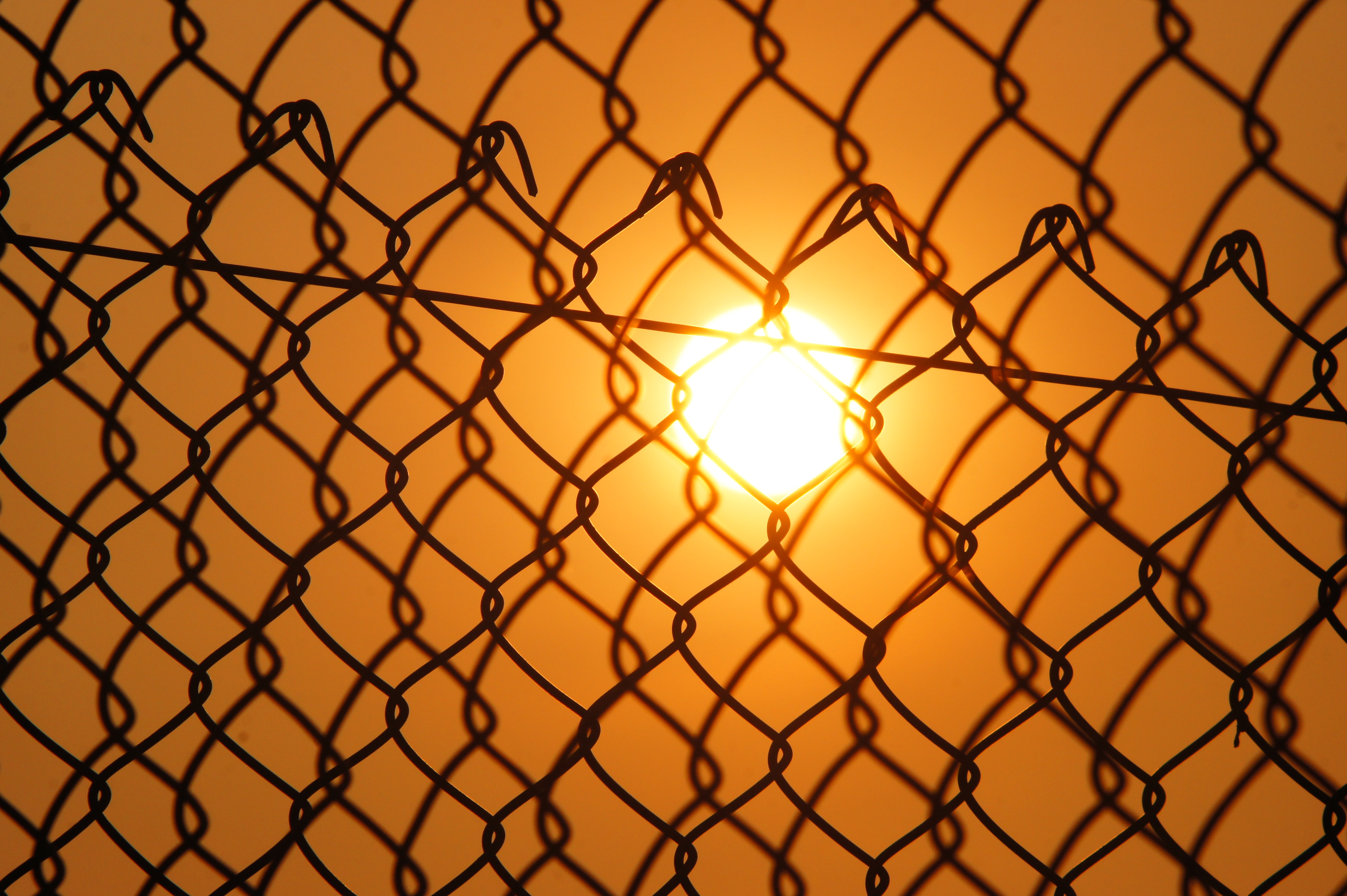 Sun over the cyclone fence photo