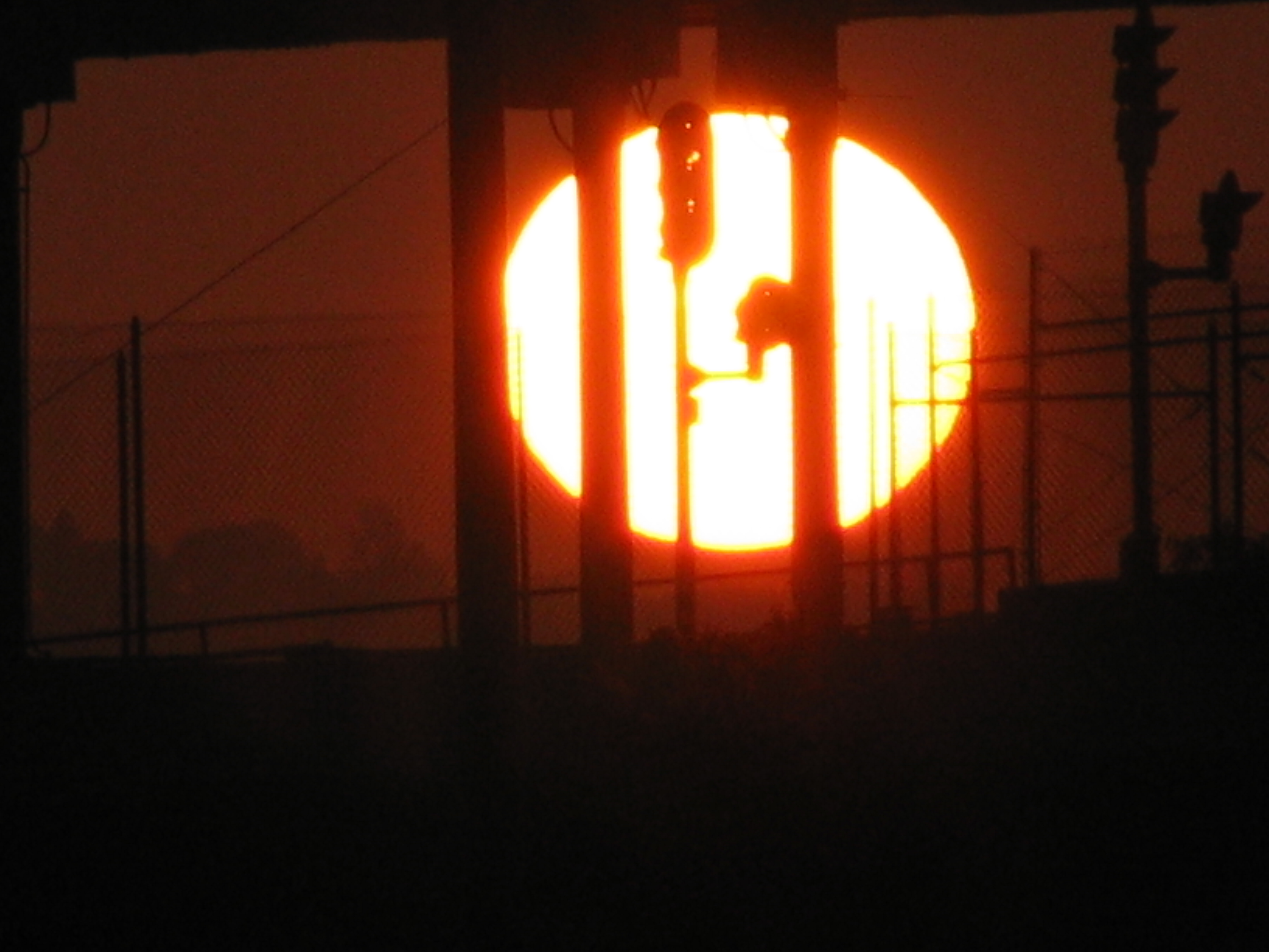 Sun rise and silhouettes photo