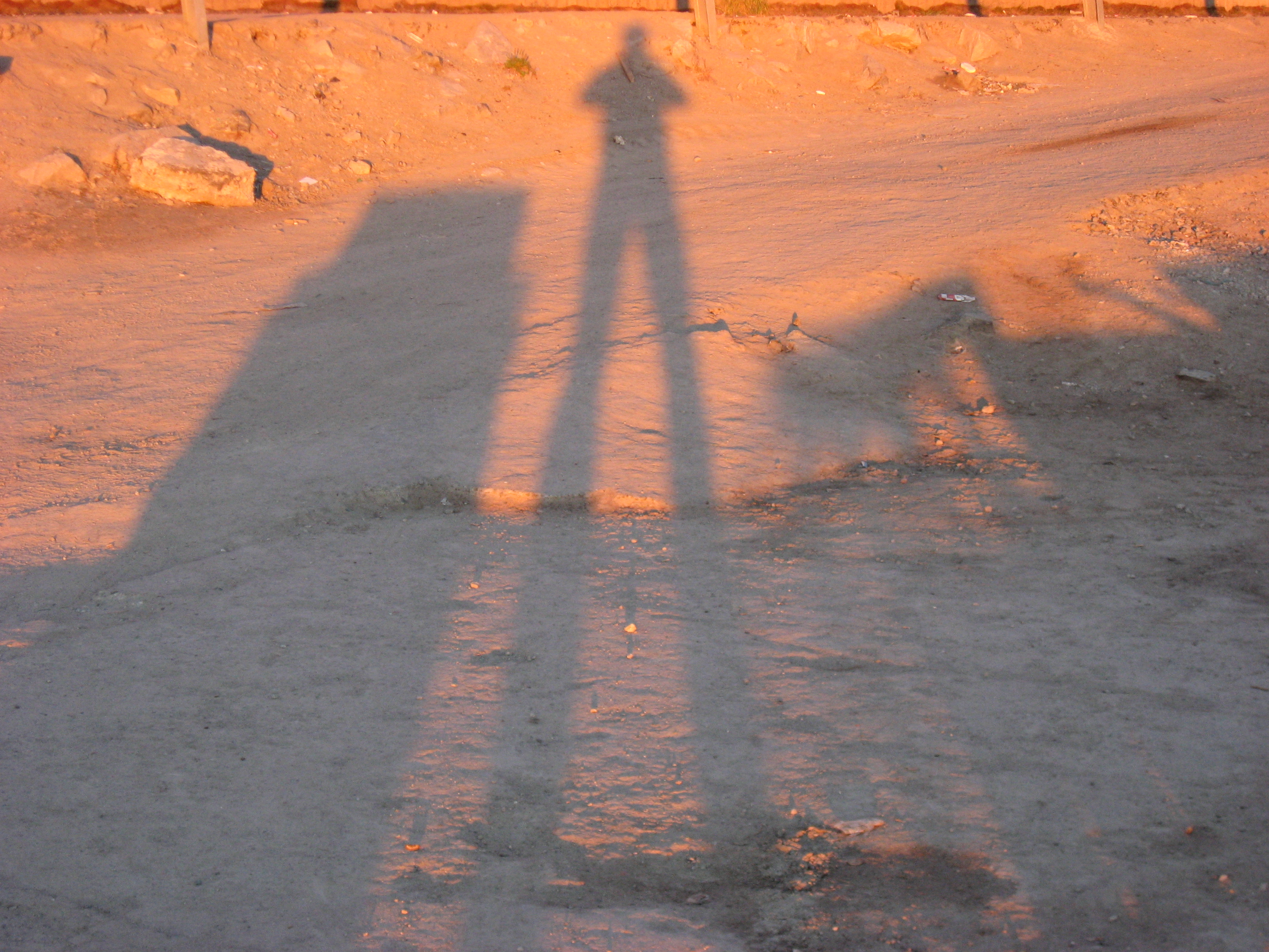 File:Slaungers shadow in midnight sun upernavik 2007-08-09.jpg ...