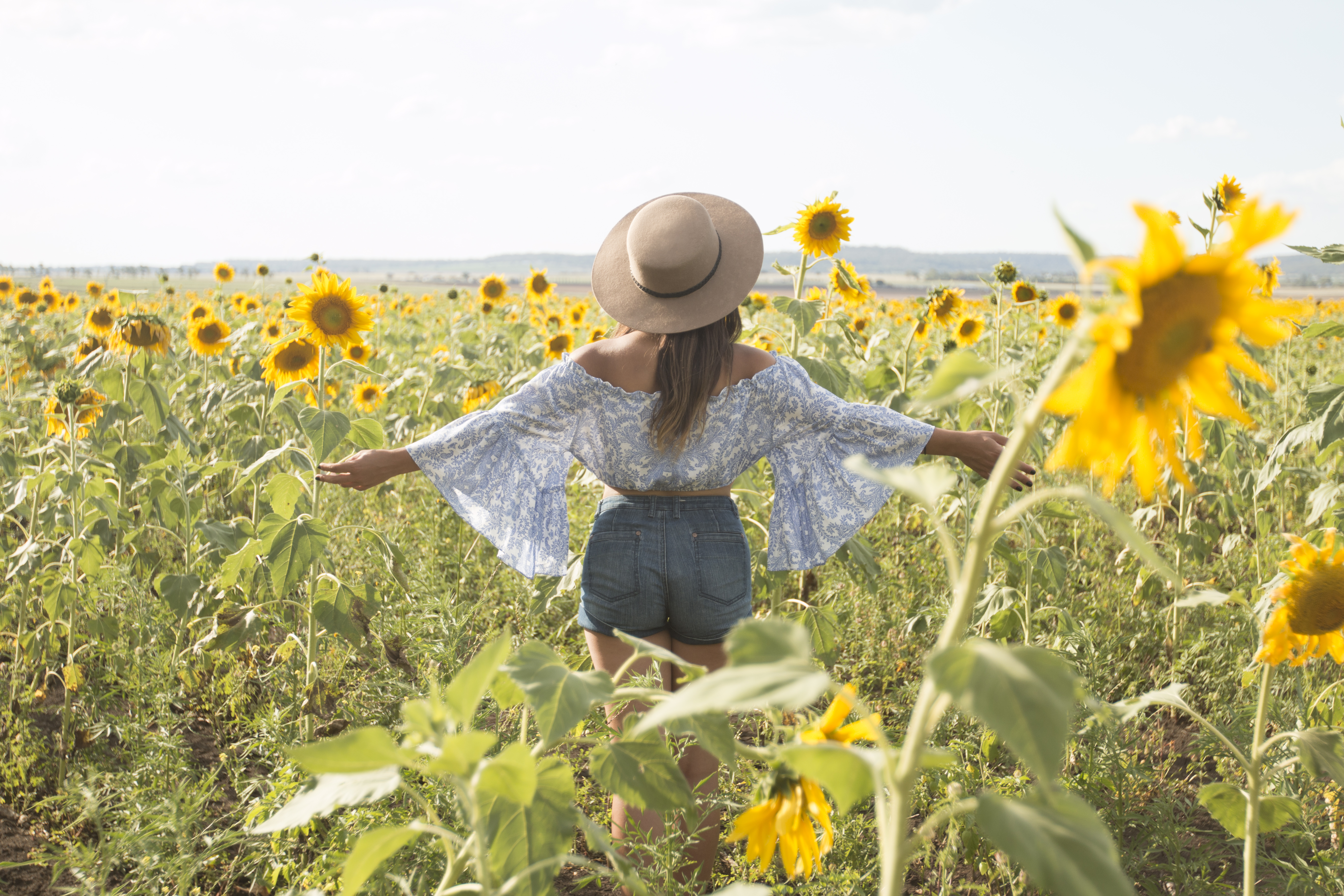 Sunflower fields? Yes, they really do exist! | Her Wandering ...