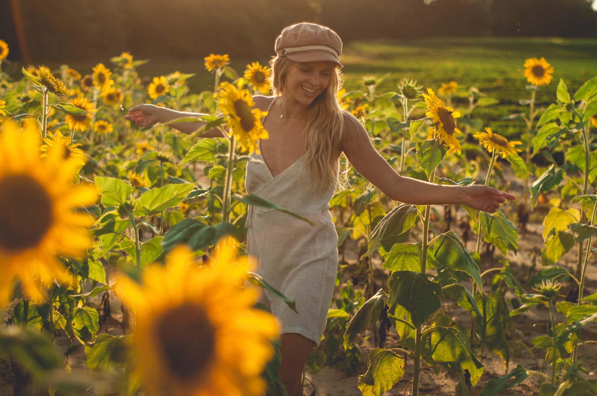 Sunflower Fields Forever | Light by Megan Rae