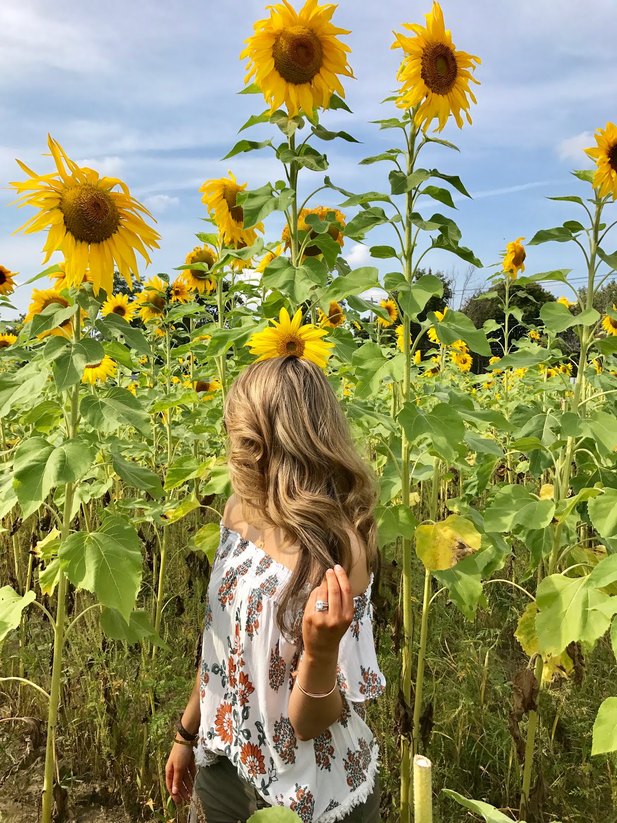 The Kyle Jillian: Sunflower Fields