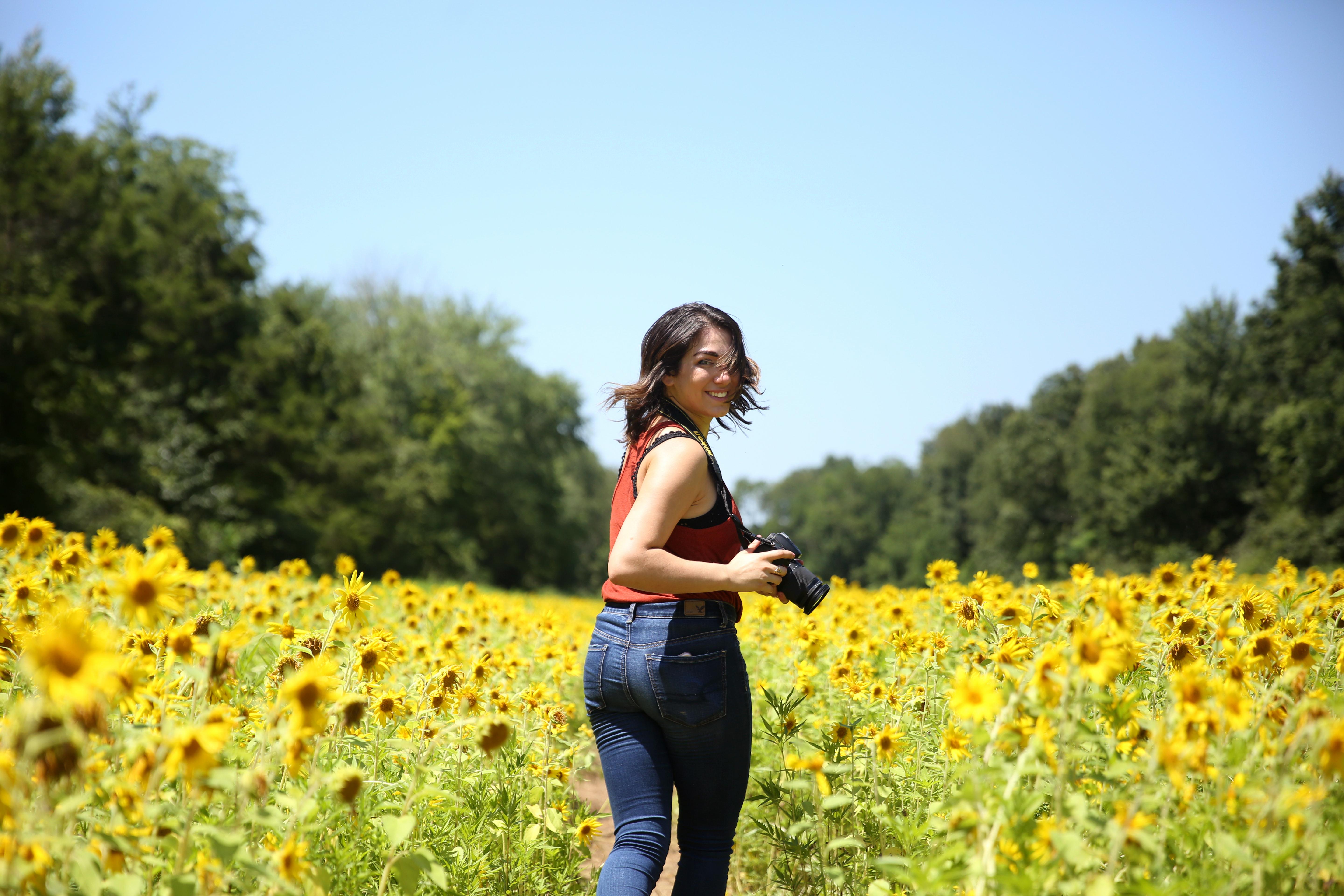 This Maryland sunflower field is blowing up your Instagram feed | DC ...
