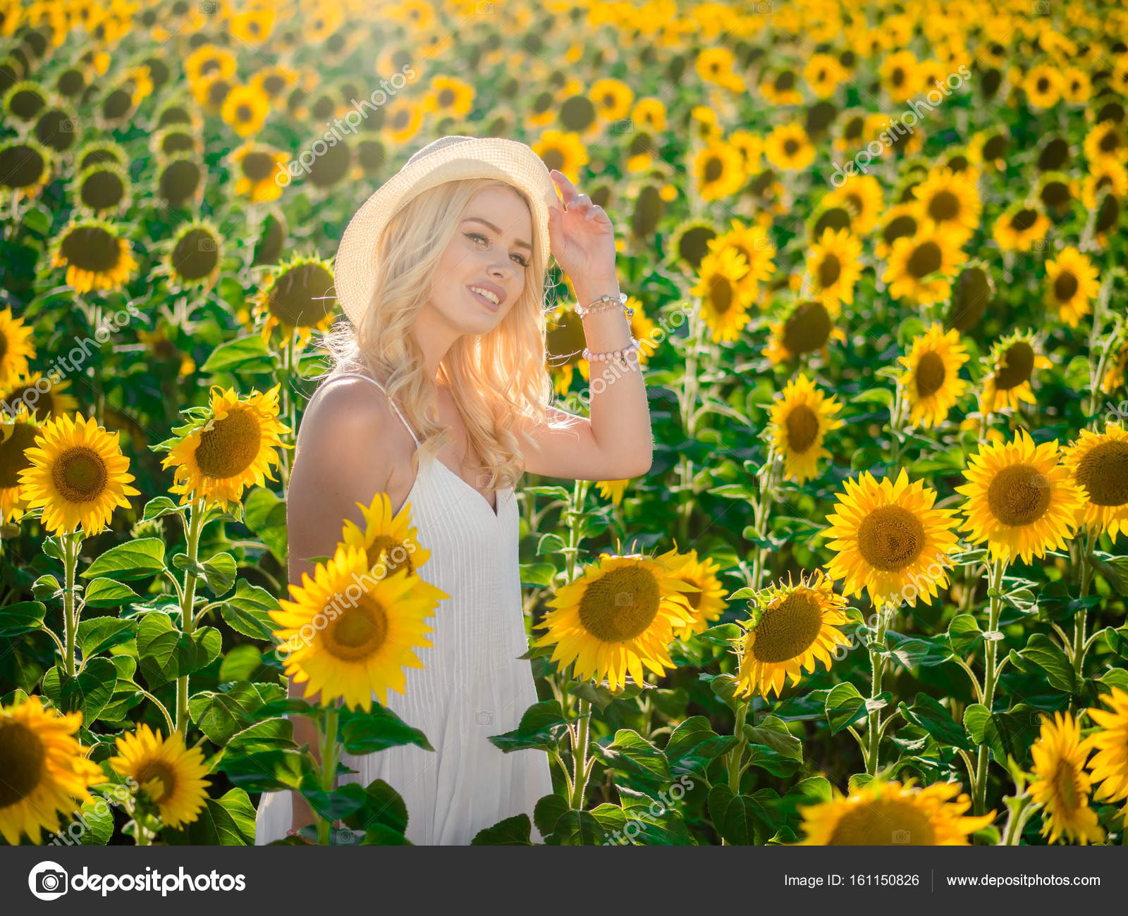 Young beautiful blonde woman standing in sunflower field. Sunset ...