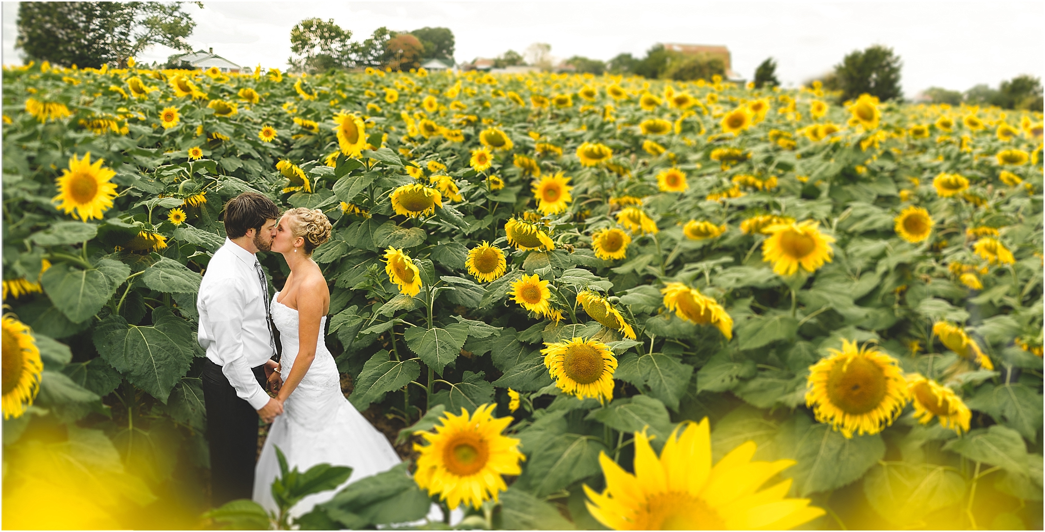 Sunflower Field Wedding Photos in Dandridge TN by JoPhoto