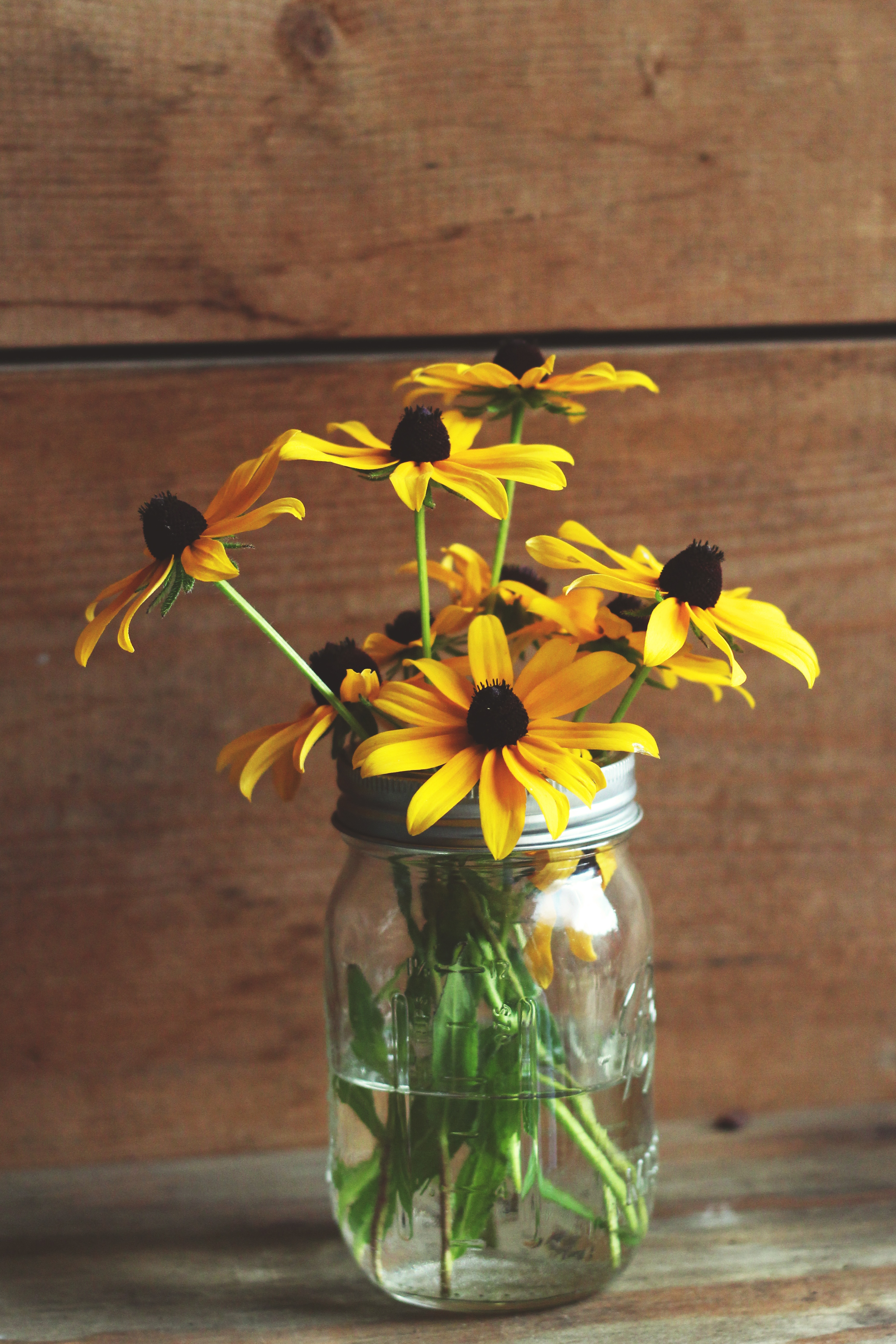 Sunflower jar, Beans, Flower, Glass, Jar, HQ Photo