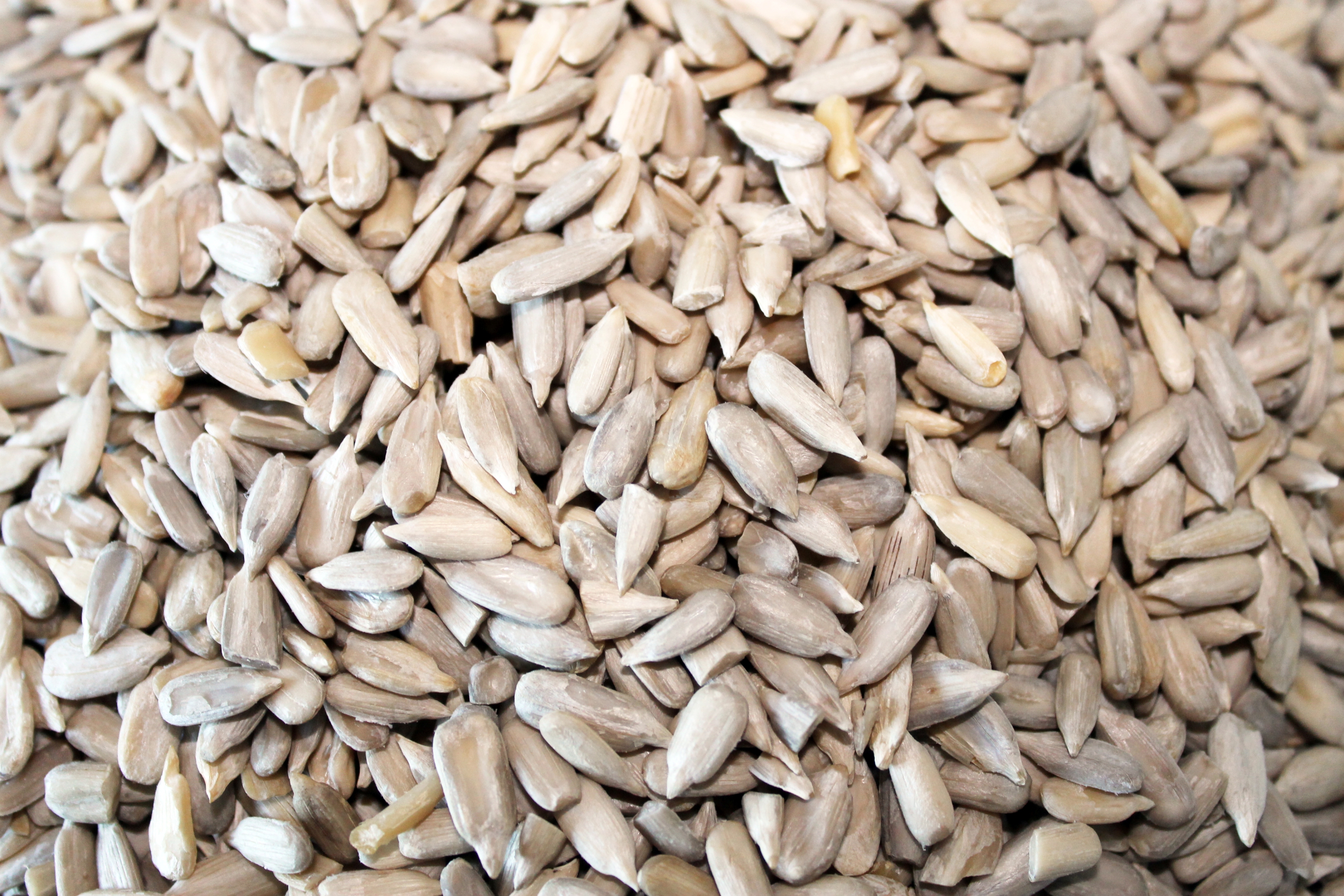 Raw Shelled Sunflower Seed Kernels - Allergy Friendly Foods - MyGerbs