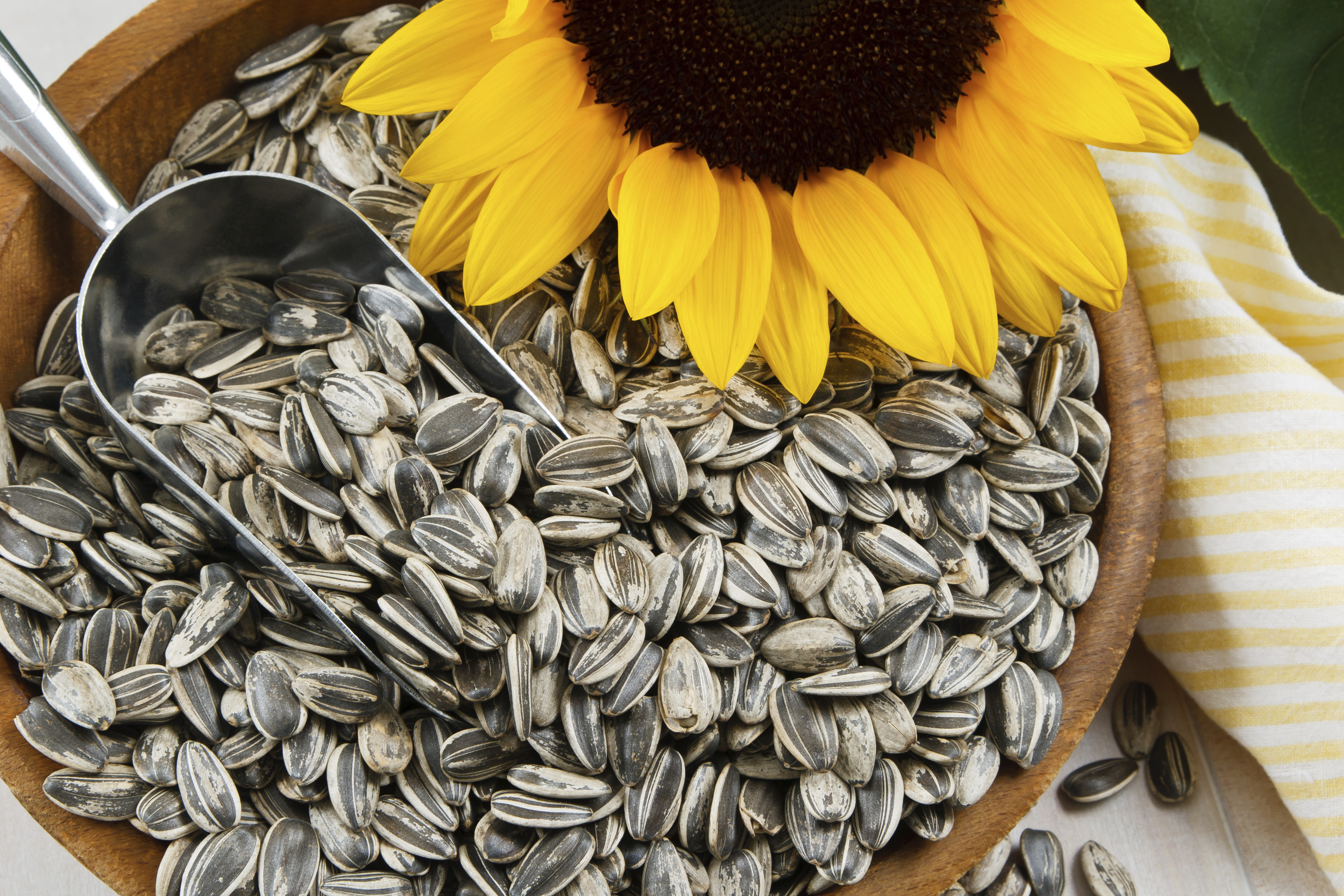 What Are the Benefits of Sunflower Seeds for Men? | LIVESTRONG.COM