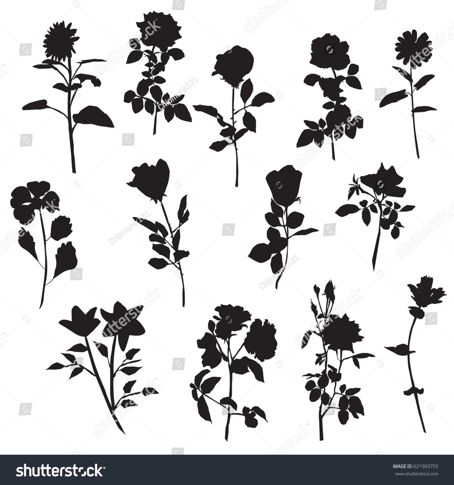 Vector Silhouettes Different Kinds Flowers Rose Stock Photo (Photo ...