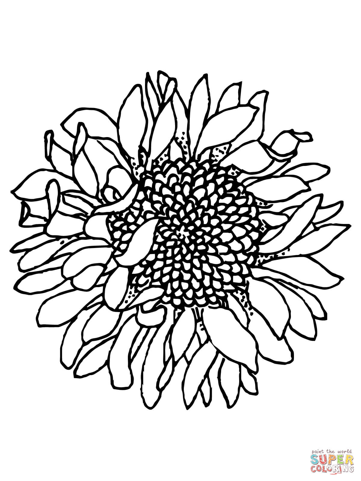 Head of Sunflower coloring page | Free Printable Coloring Pages