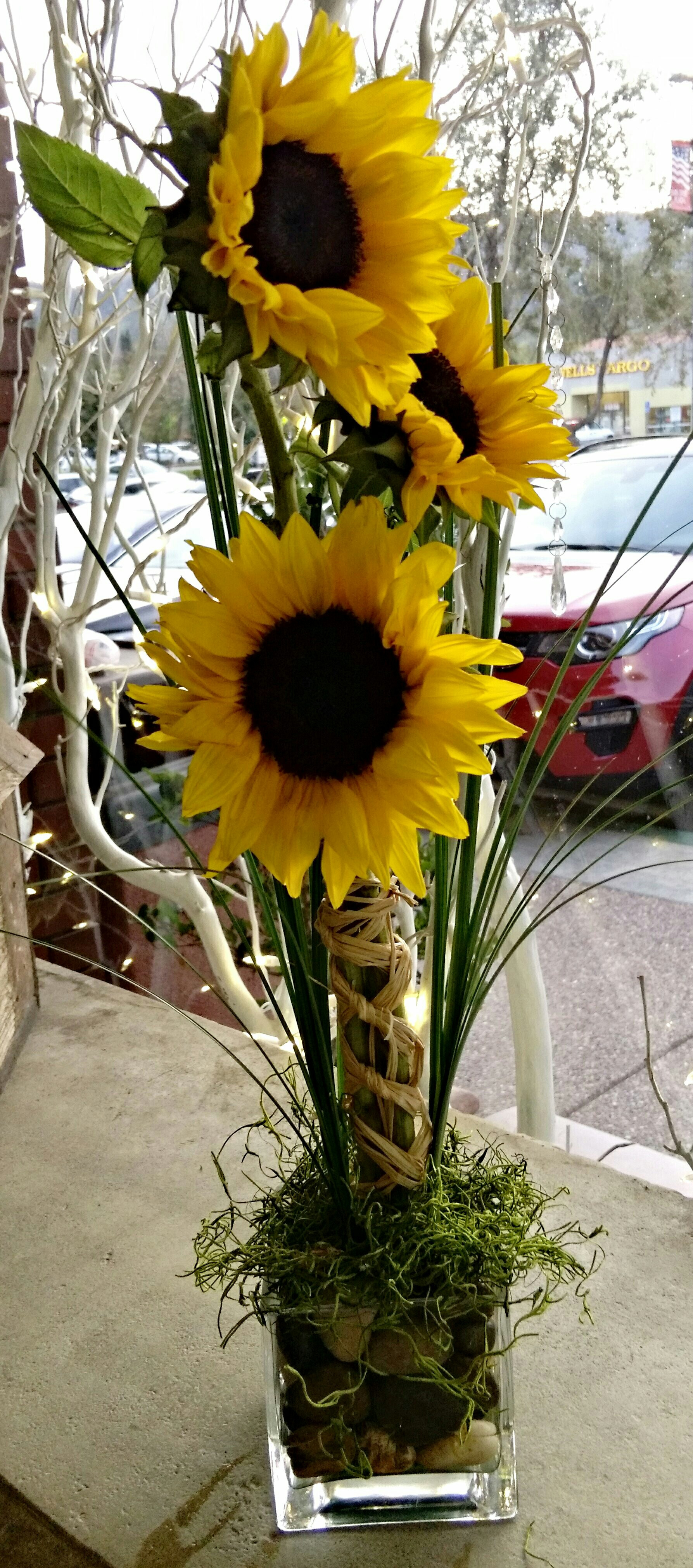 Sunflowers in Alamo, CA | Alamo Flower Co