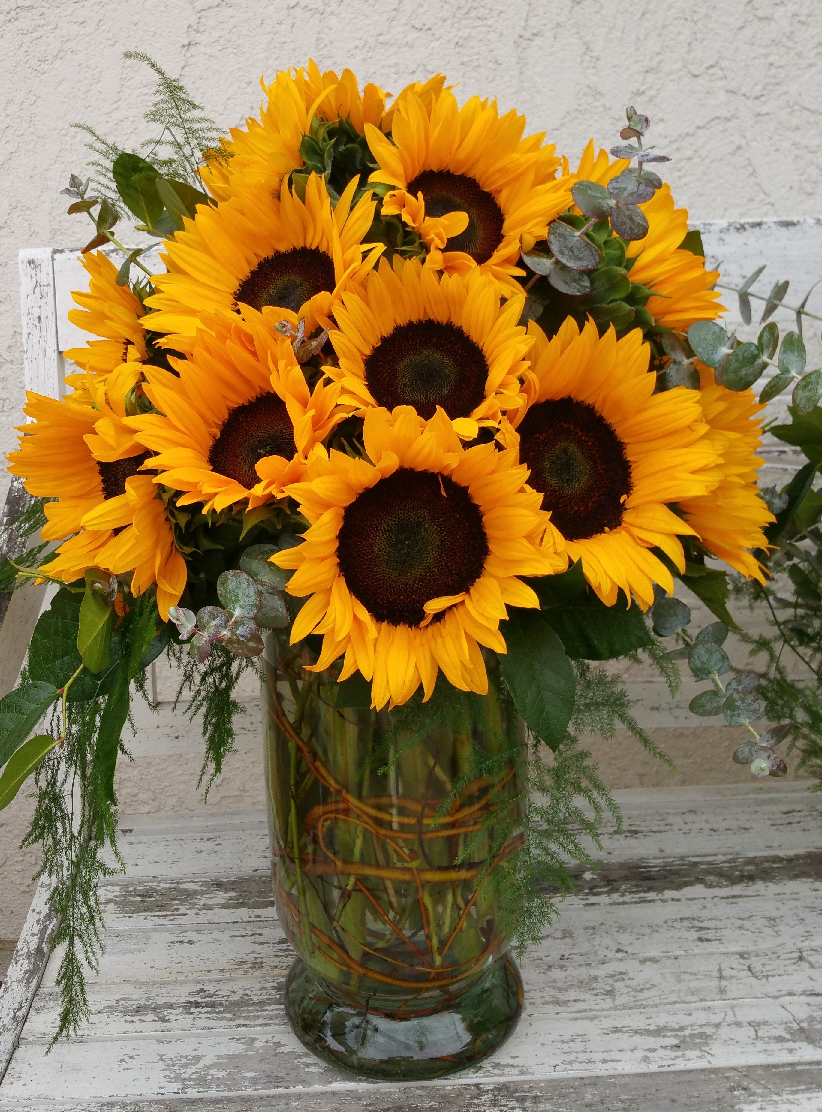 Just Sunflowers in Mission Viejo, CA | Hydrangea Bleu