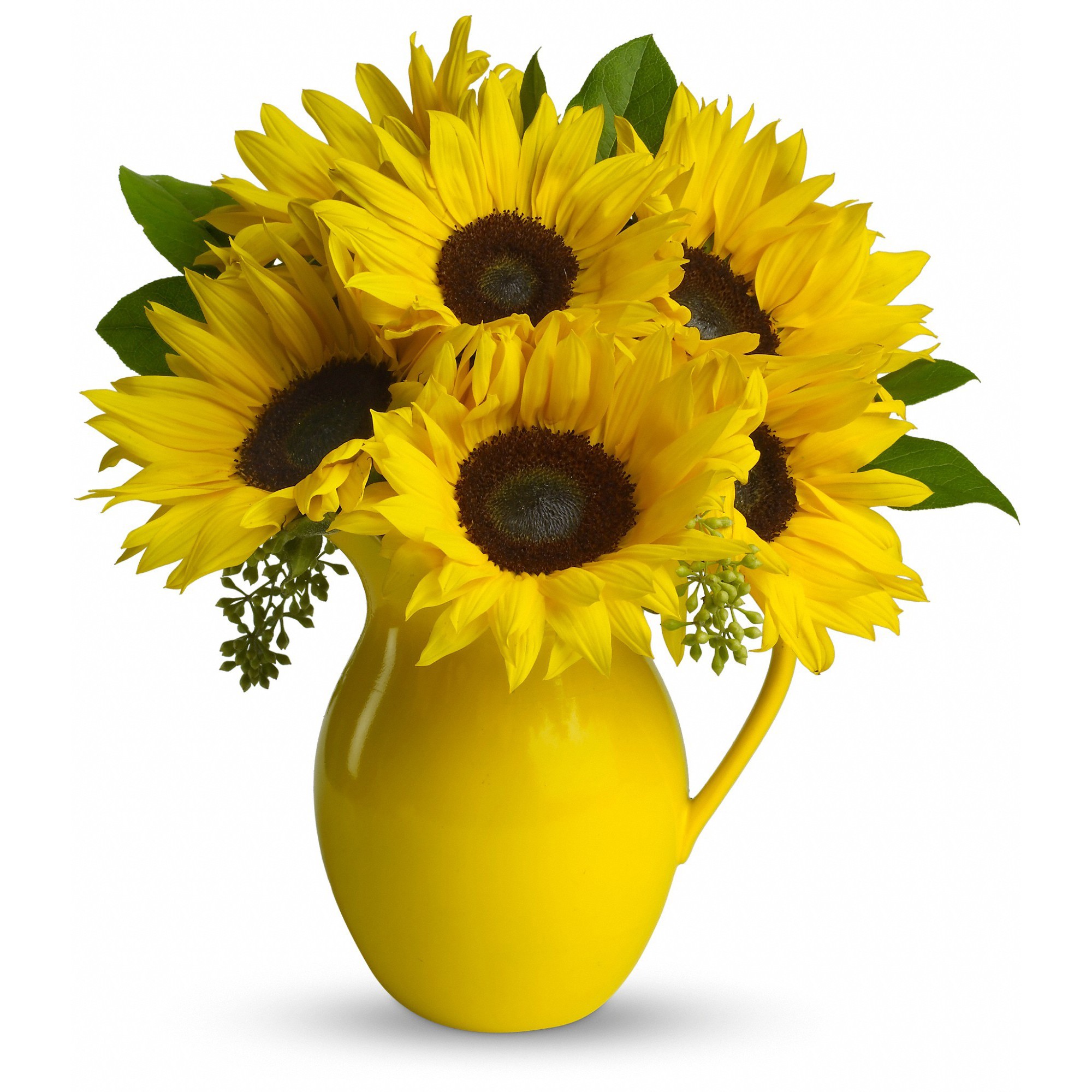 Teleflora's Sunny Day Pitcher of Sunflowers in Edison, NJ | Exotic ...