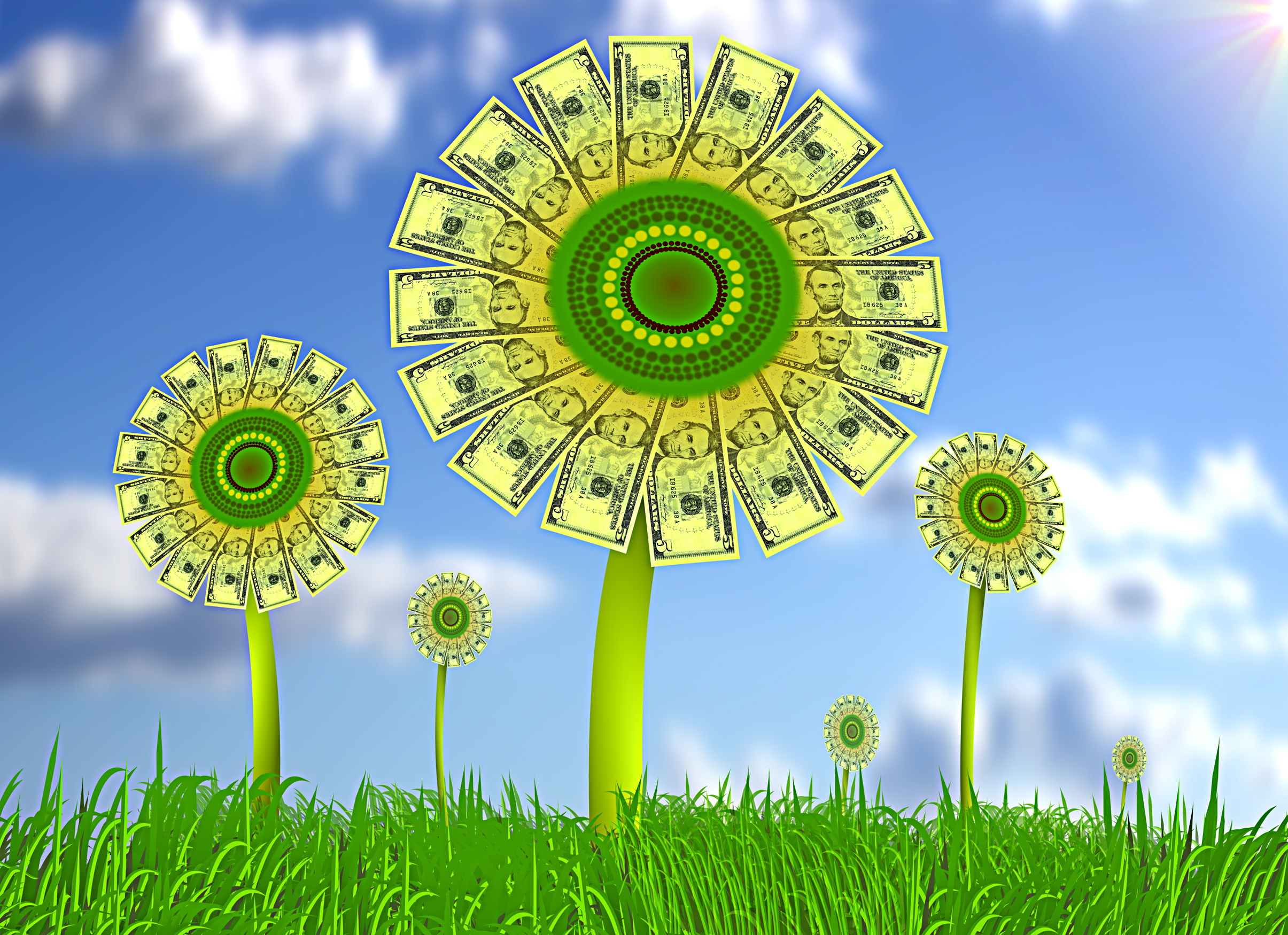 Sunflowers with dollar bills, Income, Meadow, Making, Life, HQ Photo