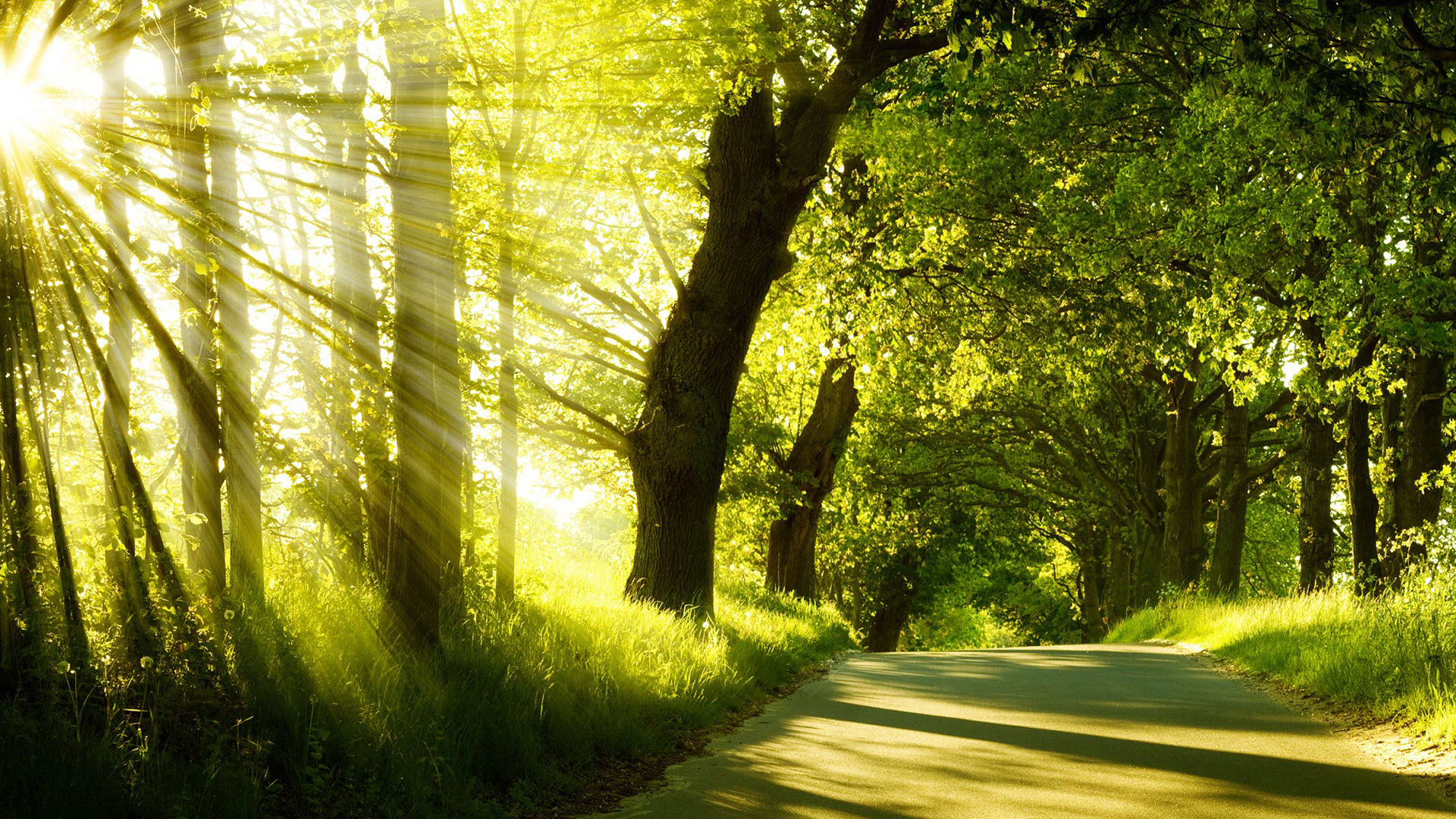 Sunlight and Health; More Than Just Vitamin D — Washington Center ...