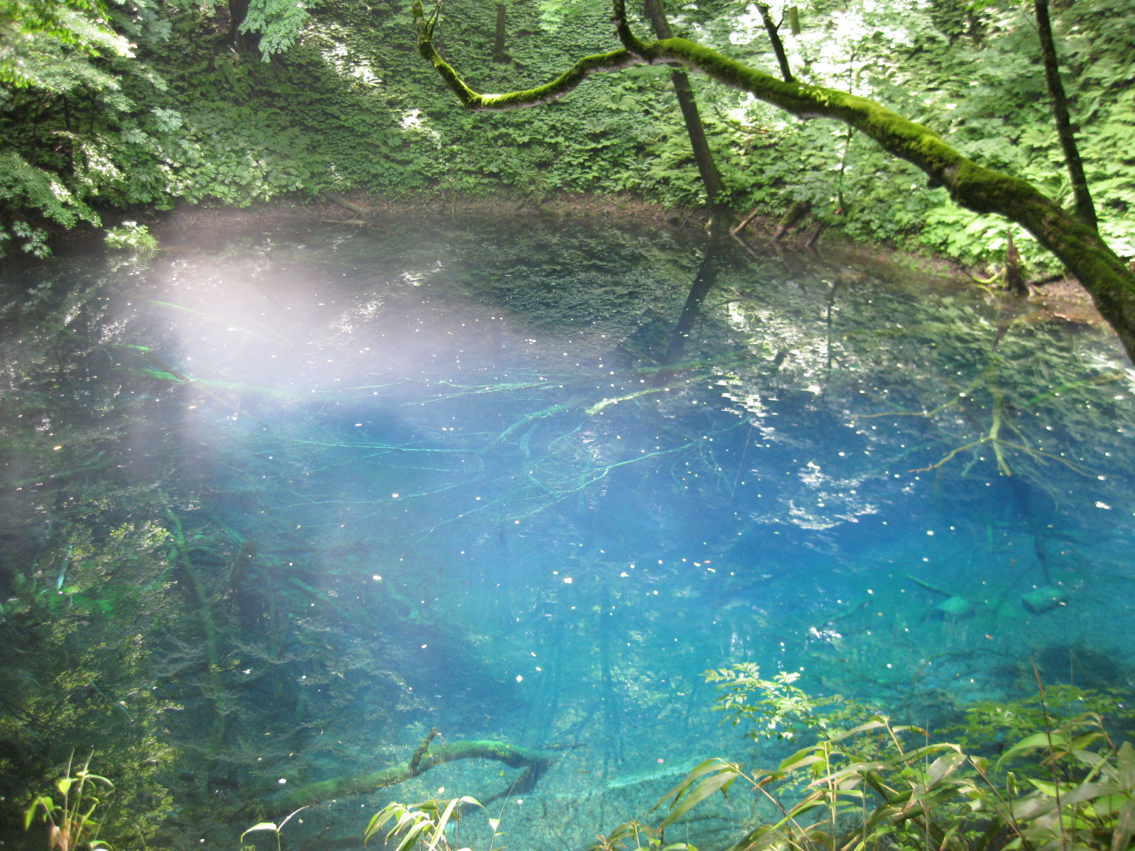 blue pond | Aomori-mori
