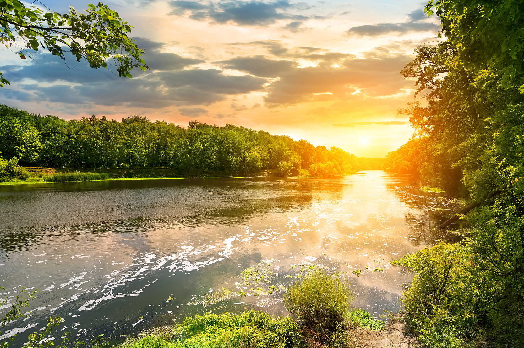 Sunset Over The River in The Forest | HD Free Foto